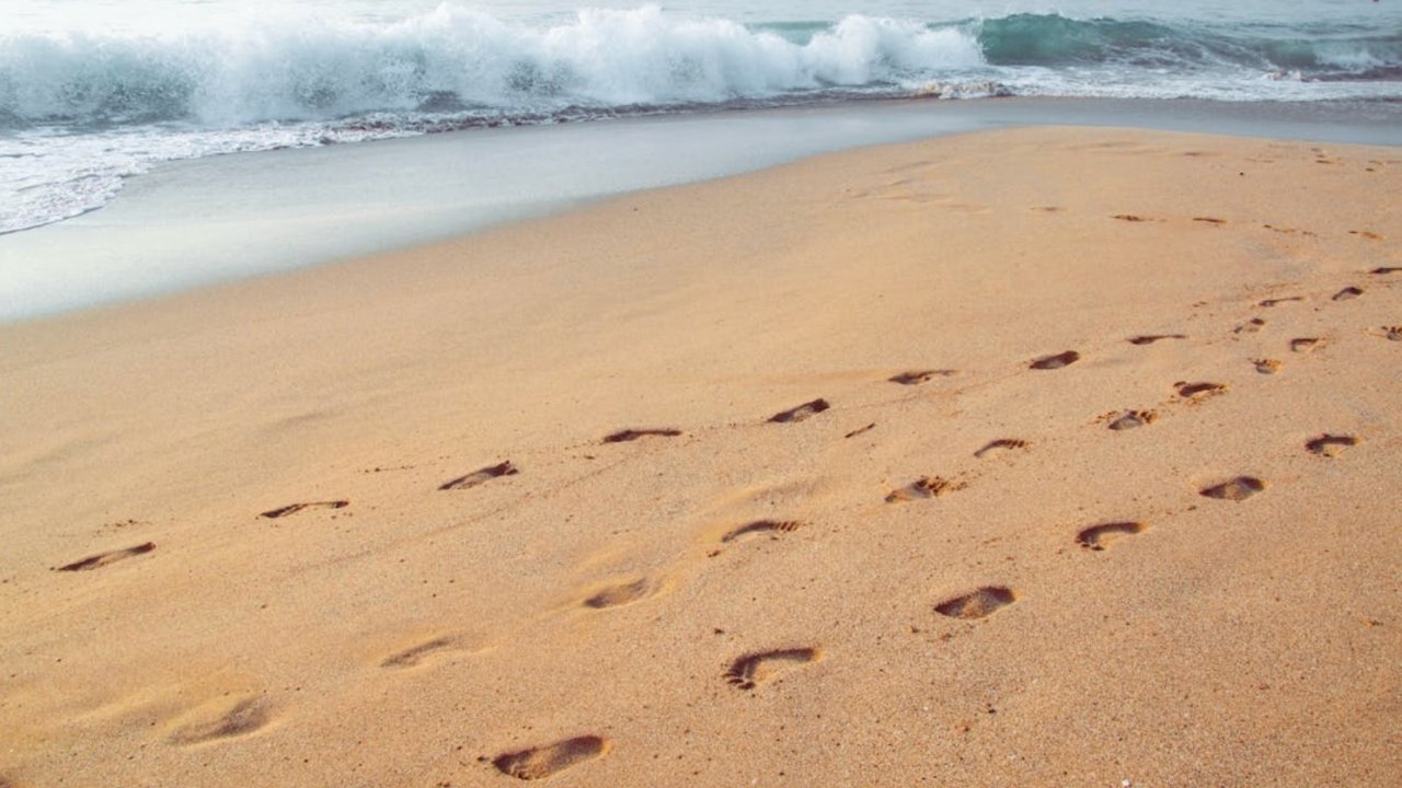 Mental Health Support Services in Geelong: A Comprehensive Guide