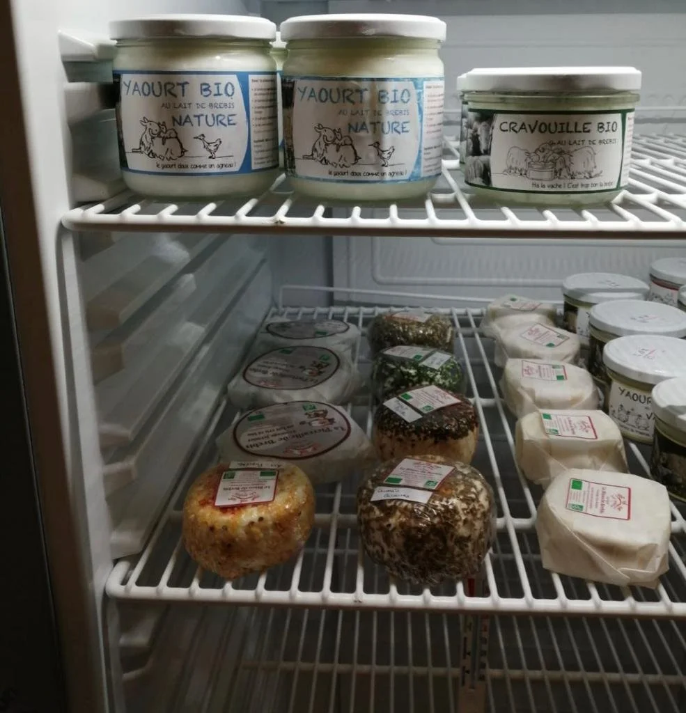 WhatsApp Image 2022-07-05 at 21.21.46 (2).jpeg