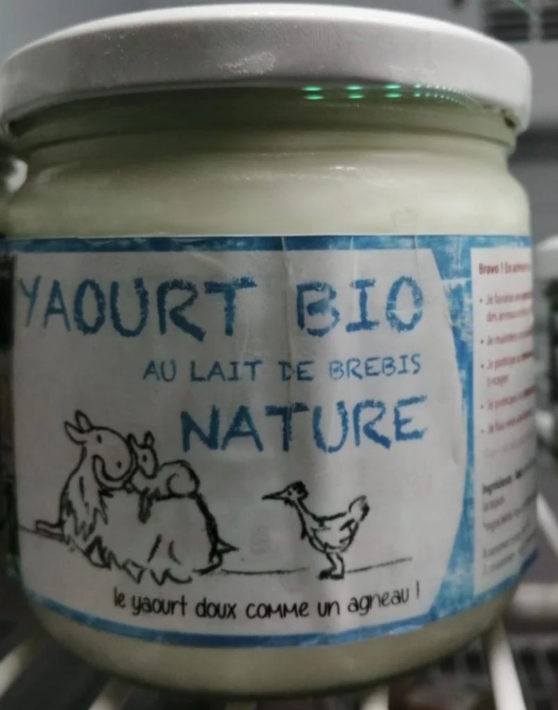 WhatsApp Image 2022-07-05 at 21.21.46 (4).jpeg