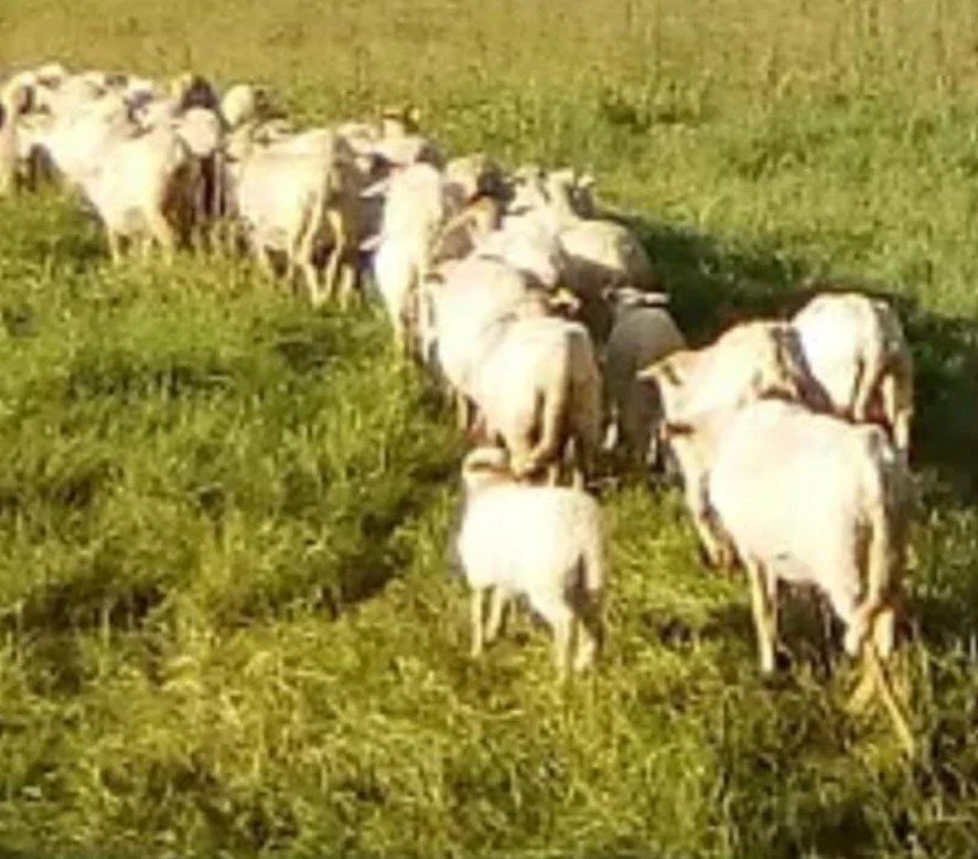 WhatsApp Image 2022-07-05 at 21.21.46 (10).jpeg