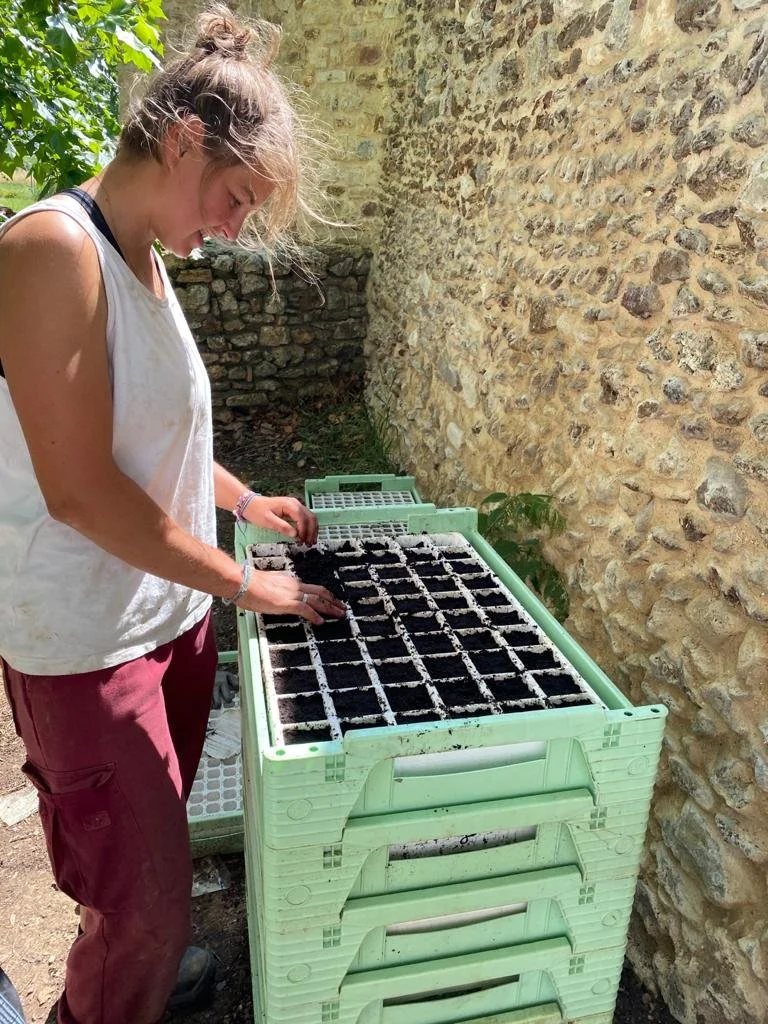 potagers-l-ascanne-st-ouen-marchefroy-les-semis.jpeg