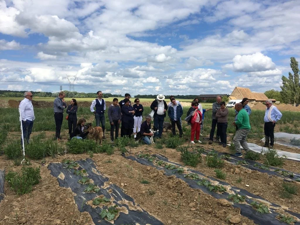 potagers-l-ascanne-st-ouen-marchefroy-houdan (26).jpeg