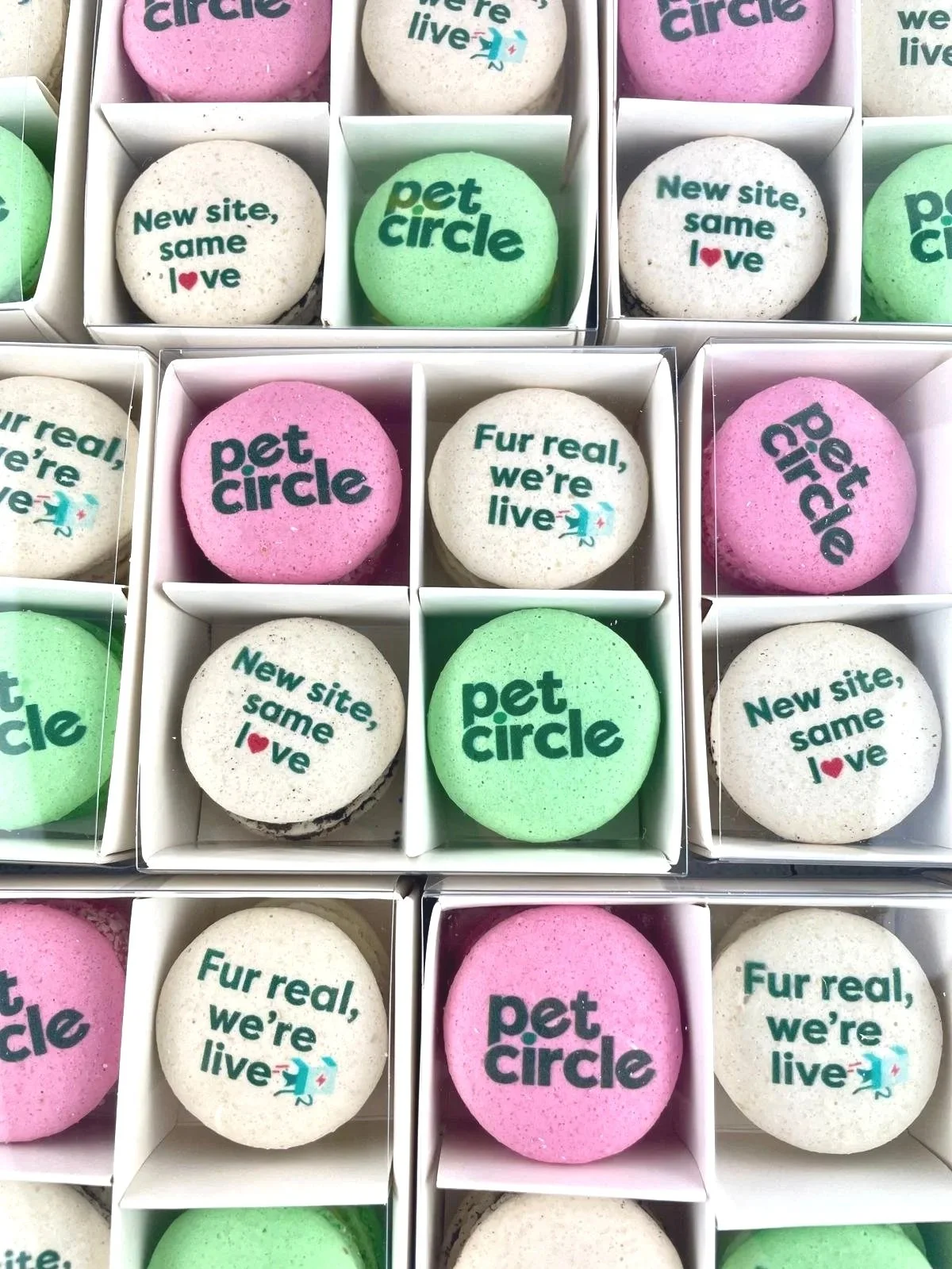 Gift Box of 4 Pet Circle Macarons - New Website Launch