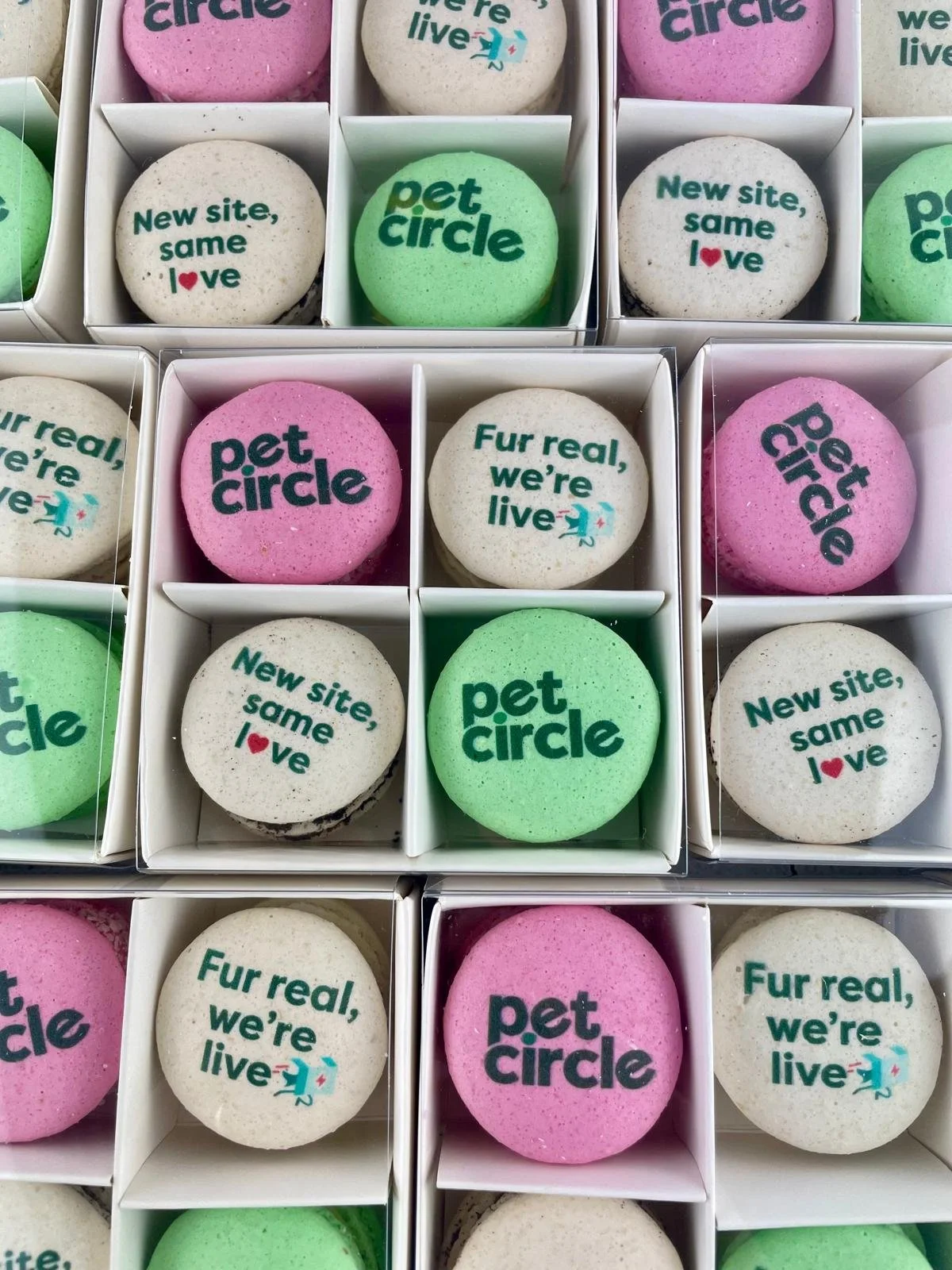 Box of 4 Macarons