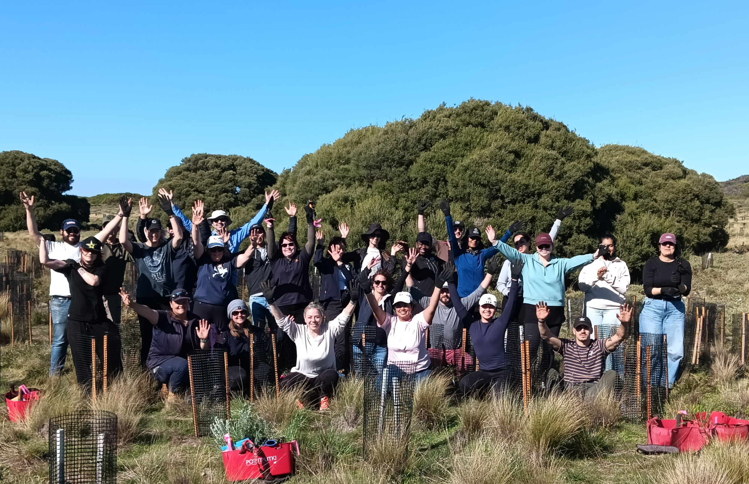 Alinta Energy volunteers return to Rottnest