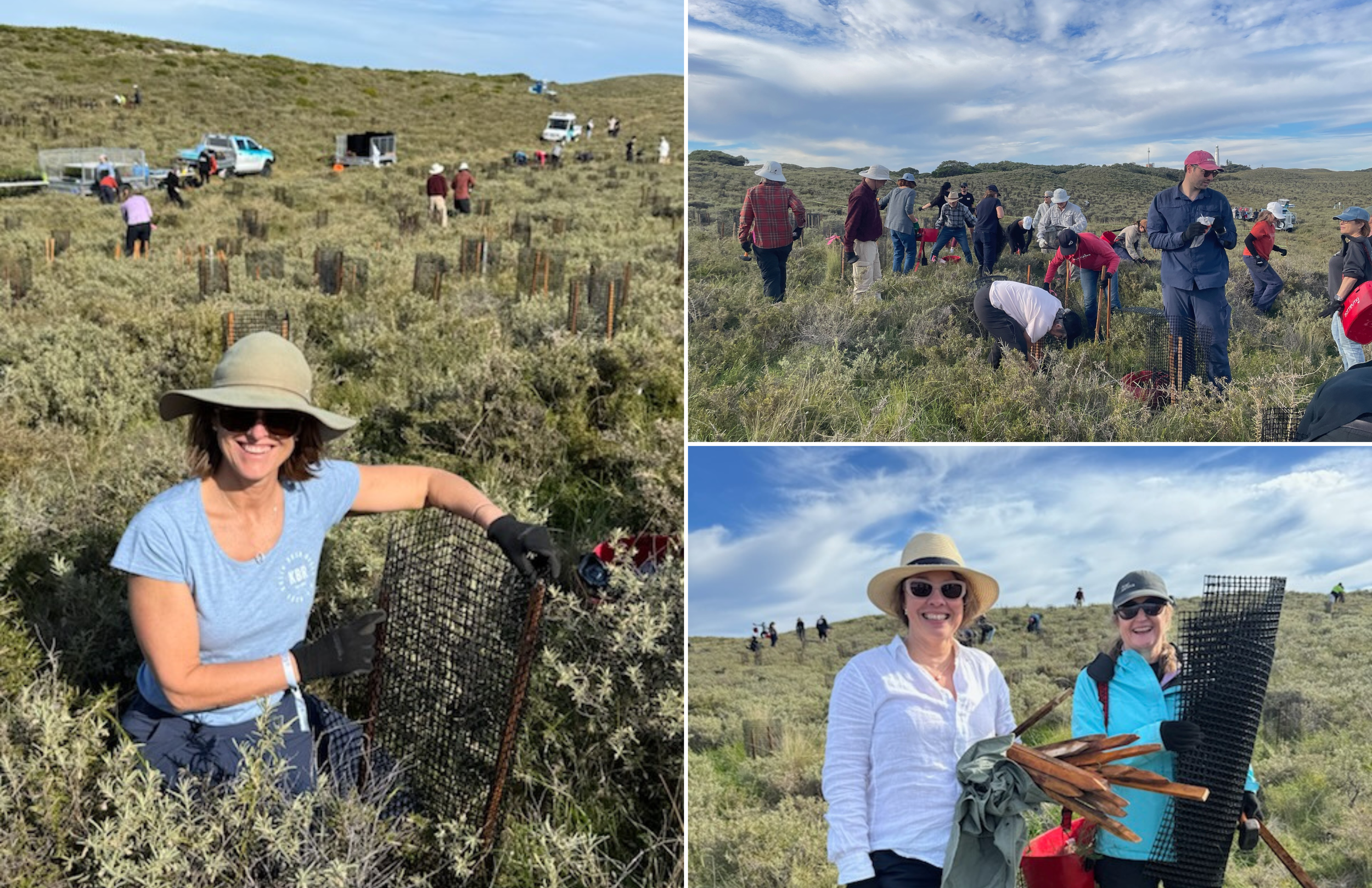 Members planting day a success