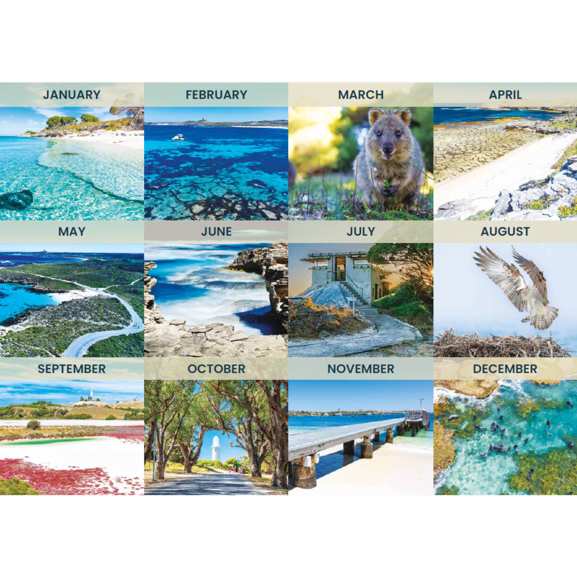 Calendar inside cover (2000 x 2000 px).png