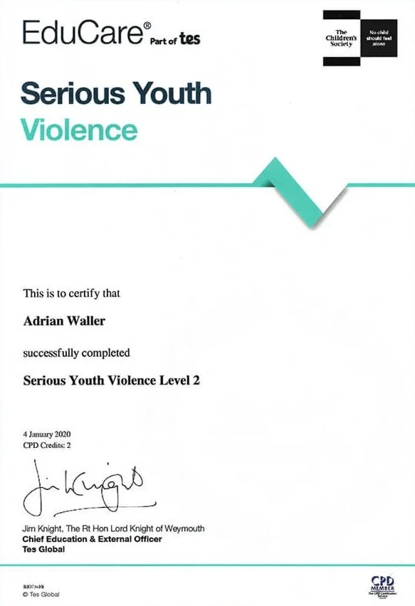 Serious-Youth-Violence.jpg