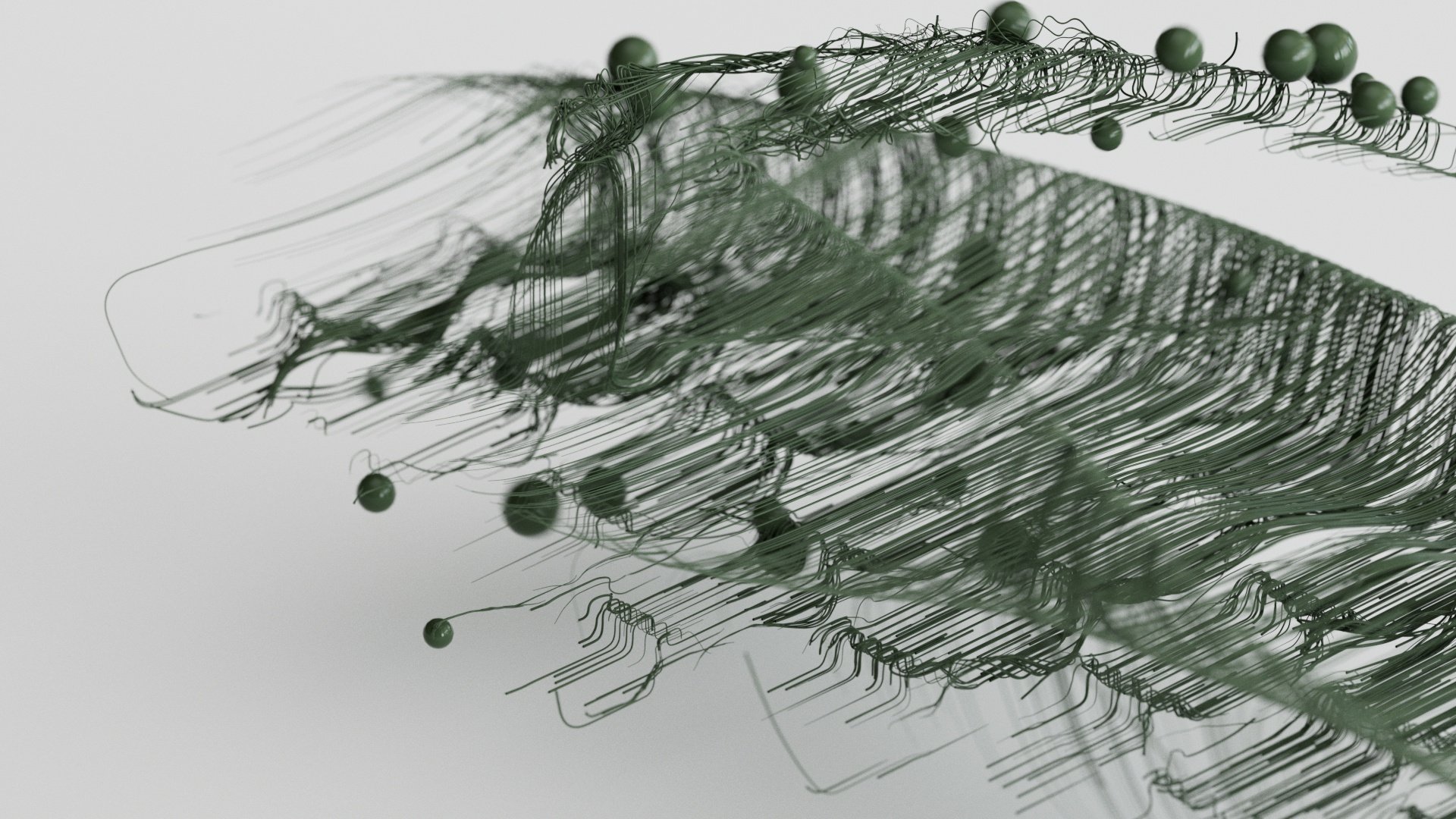 Algae_RD_10_0048.jpg