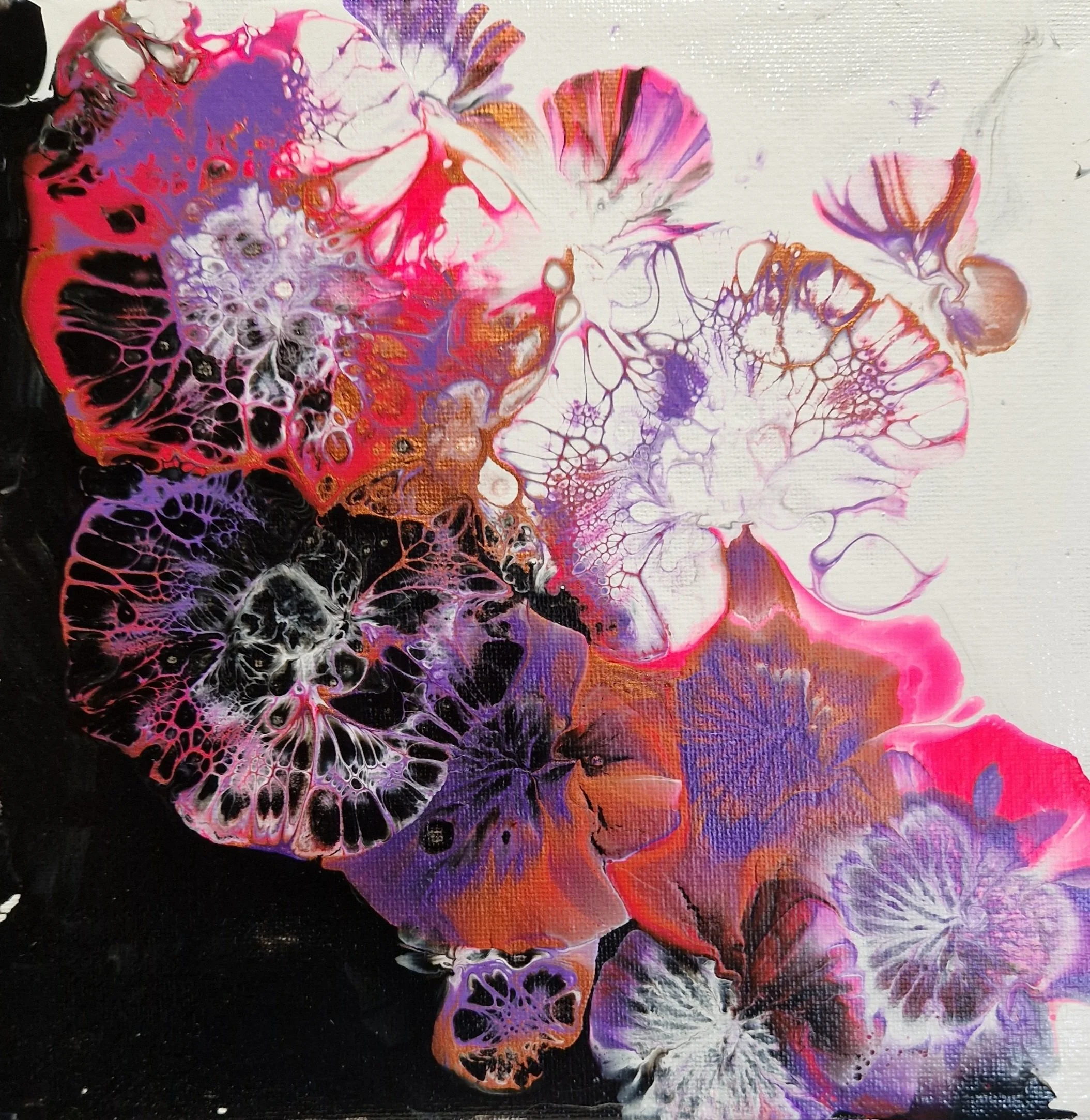 20x20cm painted boards
