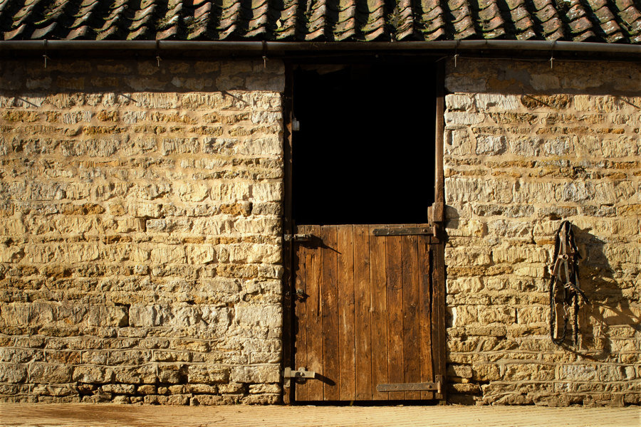 TEXTURE-GRAPHIC.jpg