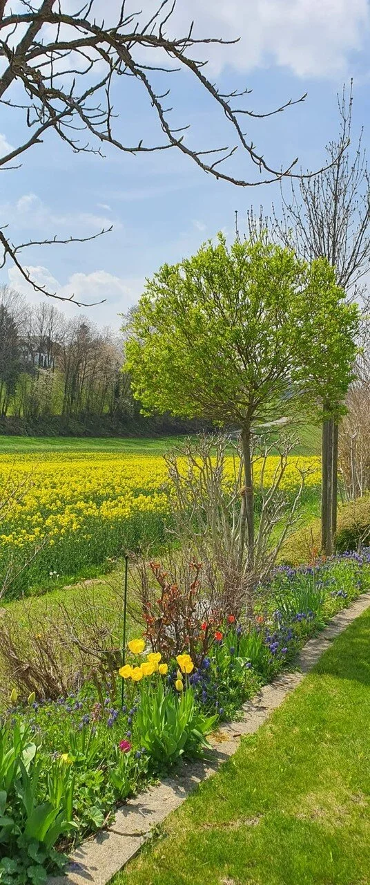 Bulletin 8: Jesus Said “I AM”