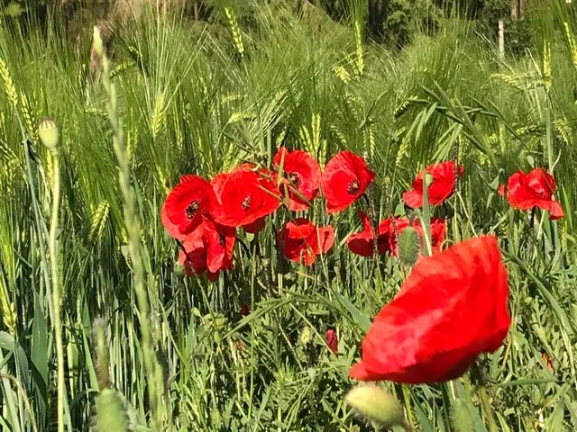 Bulletin 10: The Sacred