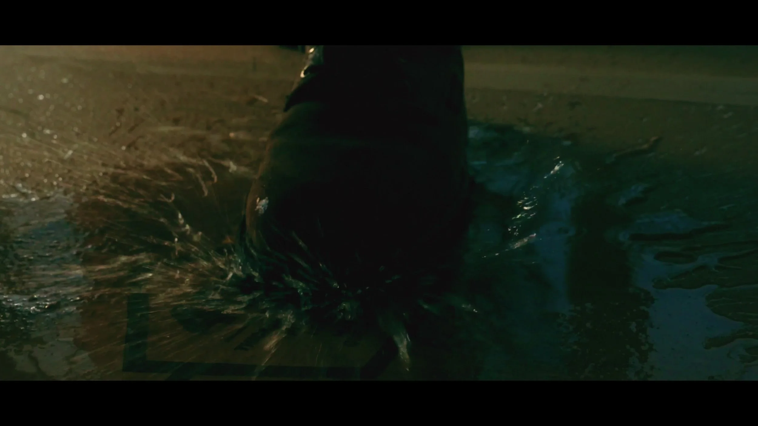 frame_88147.jpg