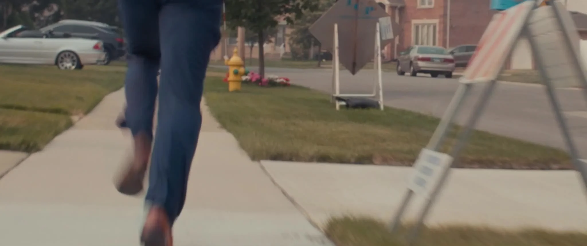 frame_1133.jpg