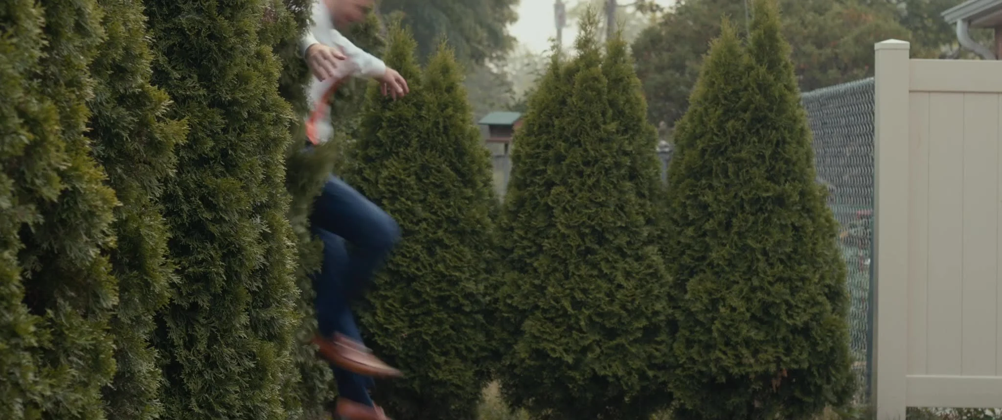 frame_986.jpg