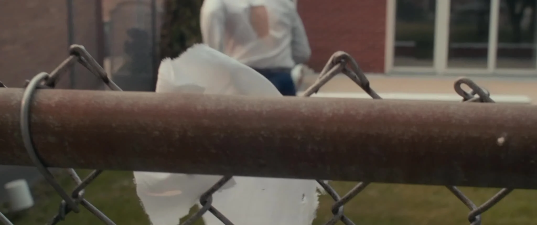 frame_953.jpg