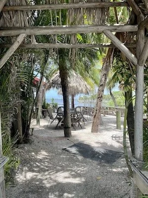 a south florida beach