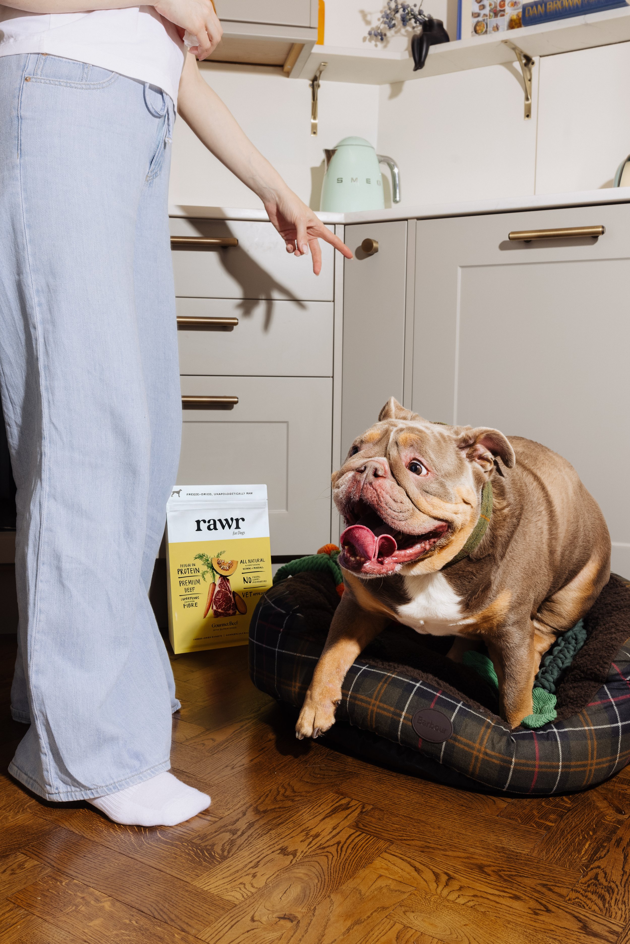 RAWR campaign: a bulldog on its bed in a kitchen, excited for a pack of RAWR, photographed by Dean Bartolo.