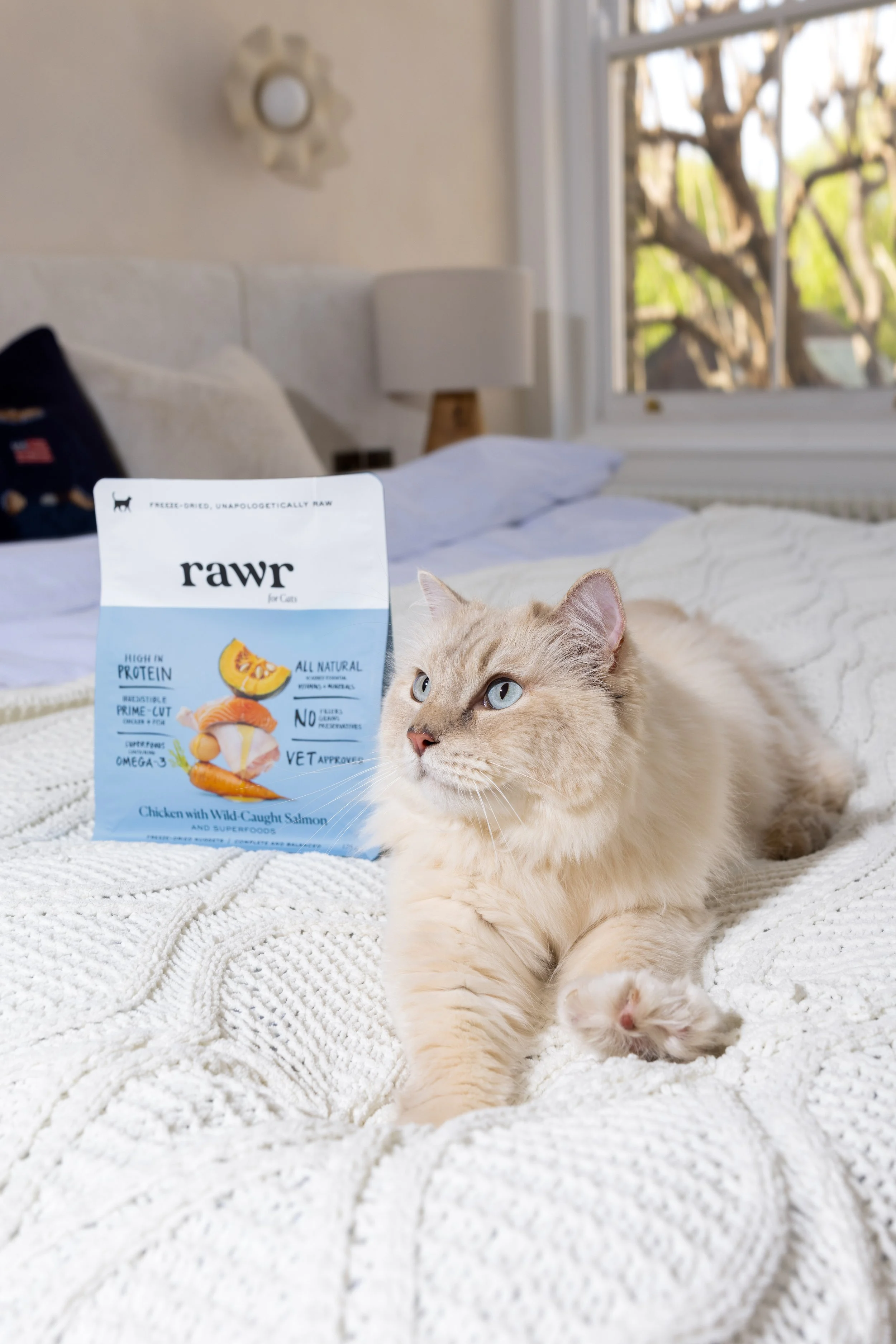 RAWR campaign: a cat relaxing on a bed beside a pack of RAWR freeze-dried food, photographed by Dean Bartolo.