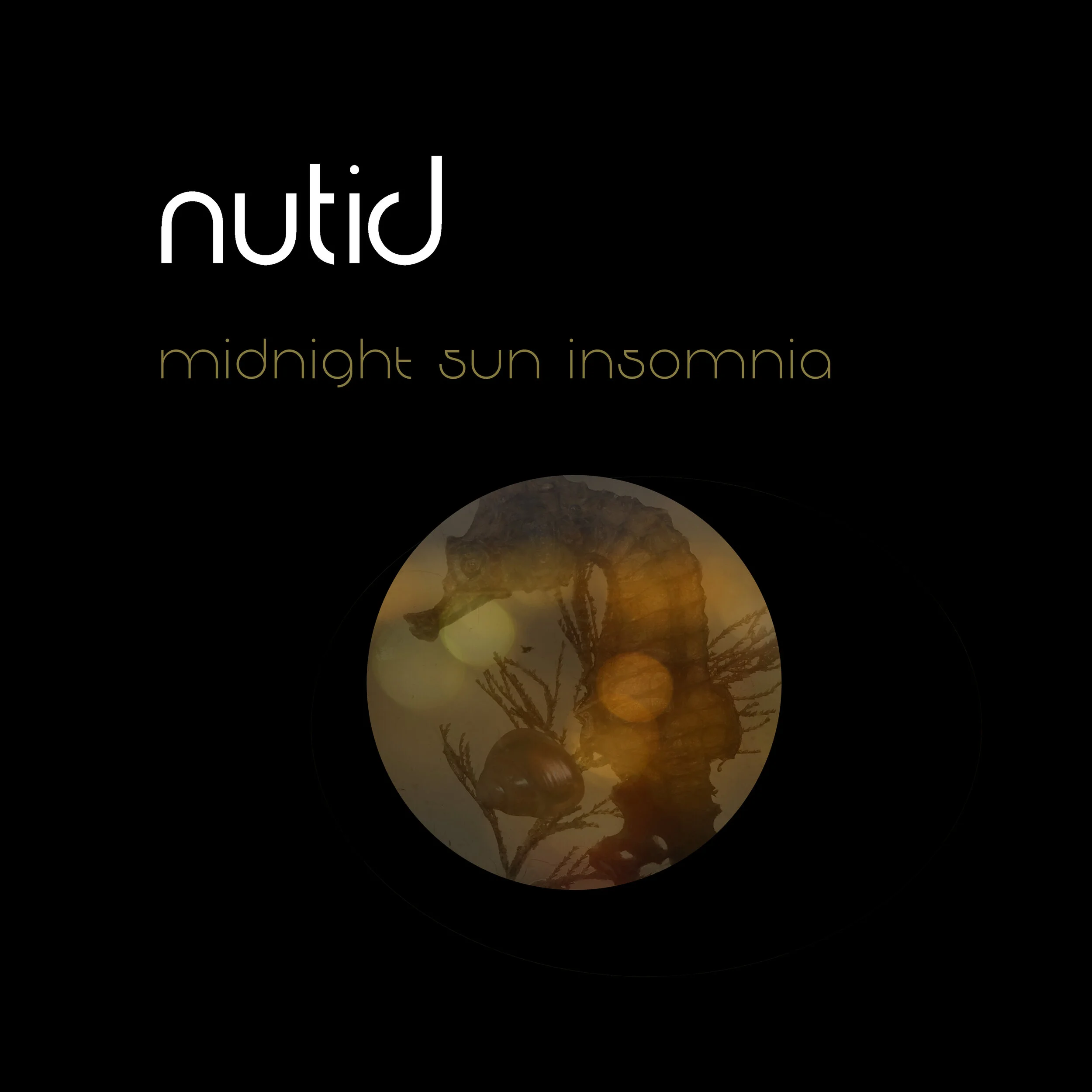 Nutid – Midnight Sun Insomnia