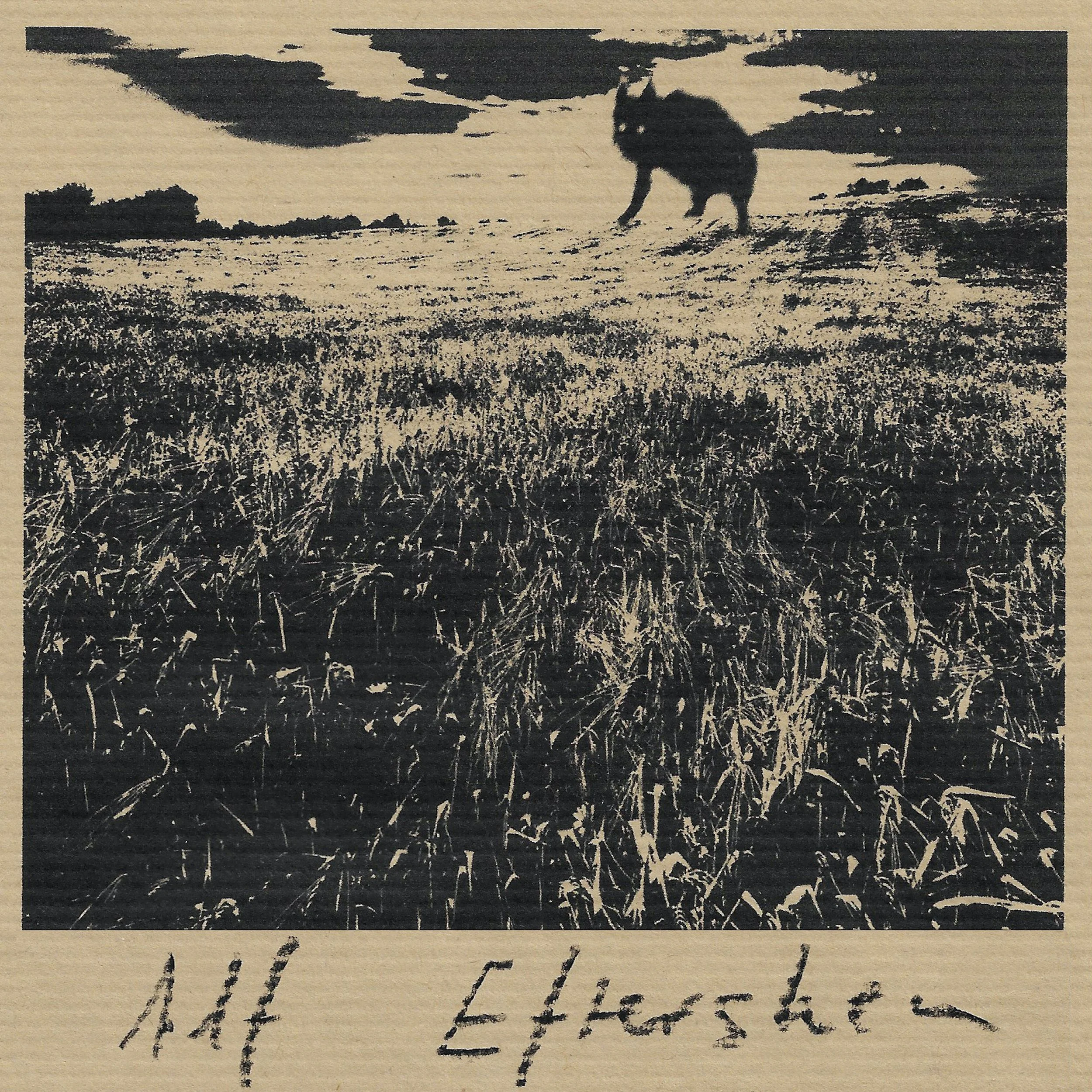 Alf – Eftersken (Augusti glöder)