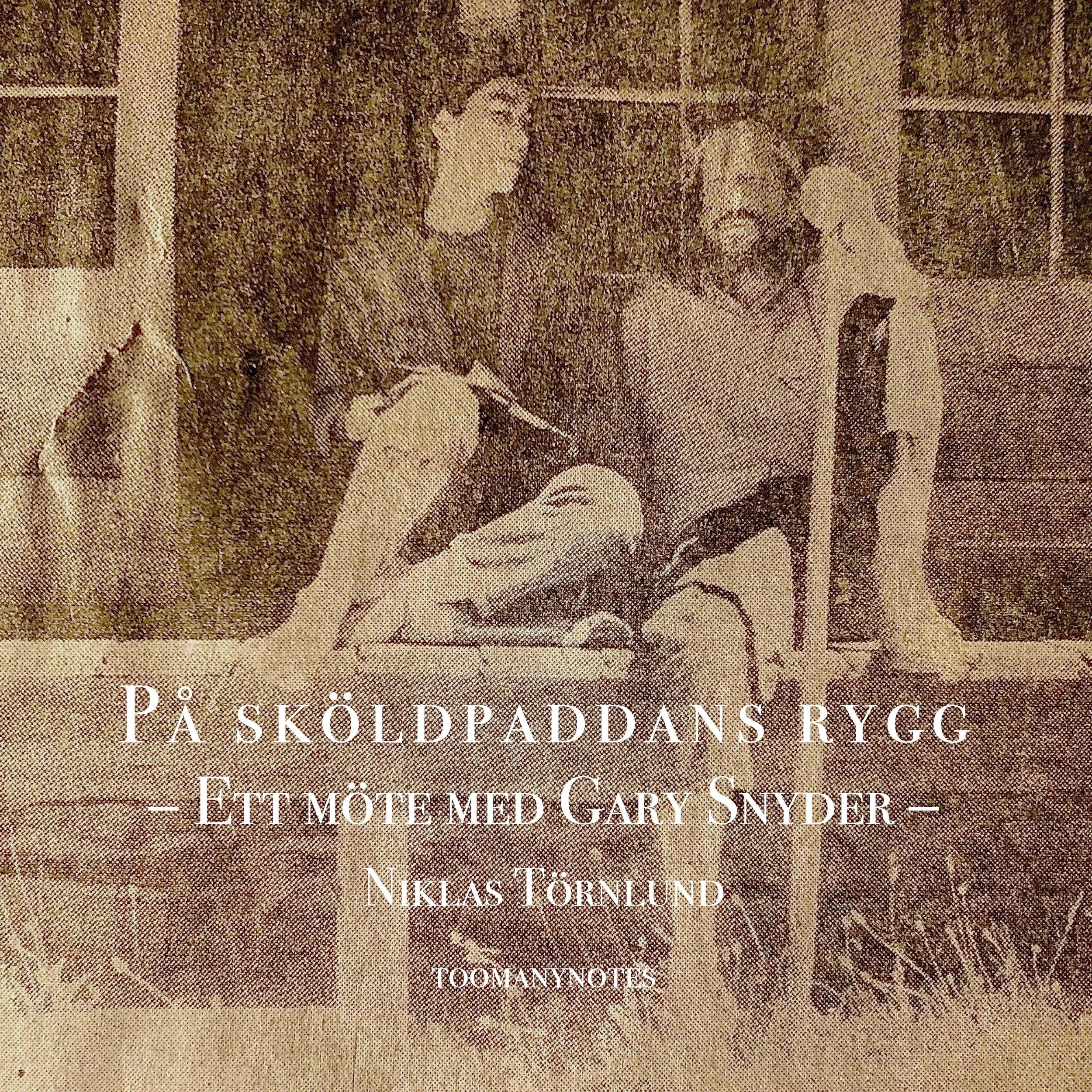 Niklas Törnlund – På sköldpaddans rygg (Ljudbok)