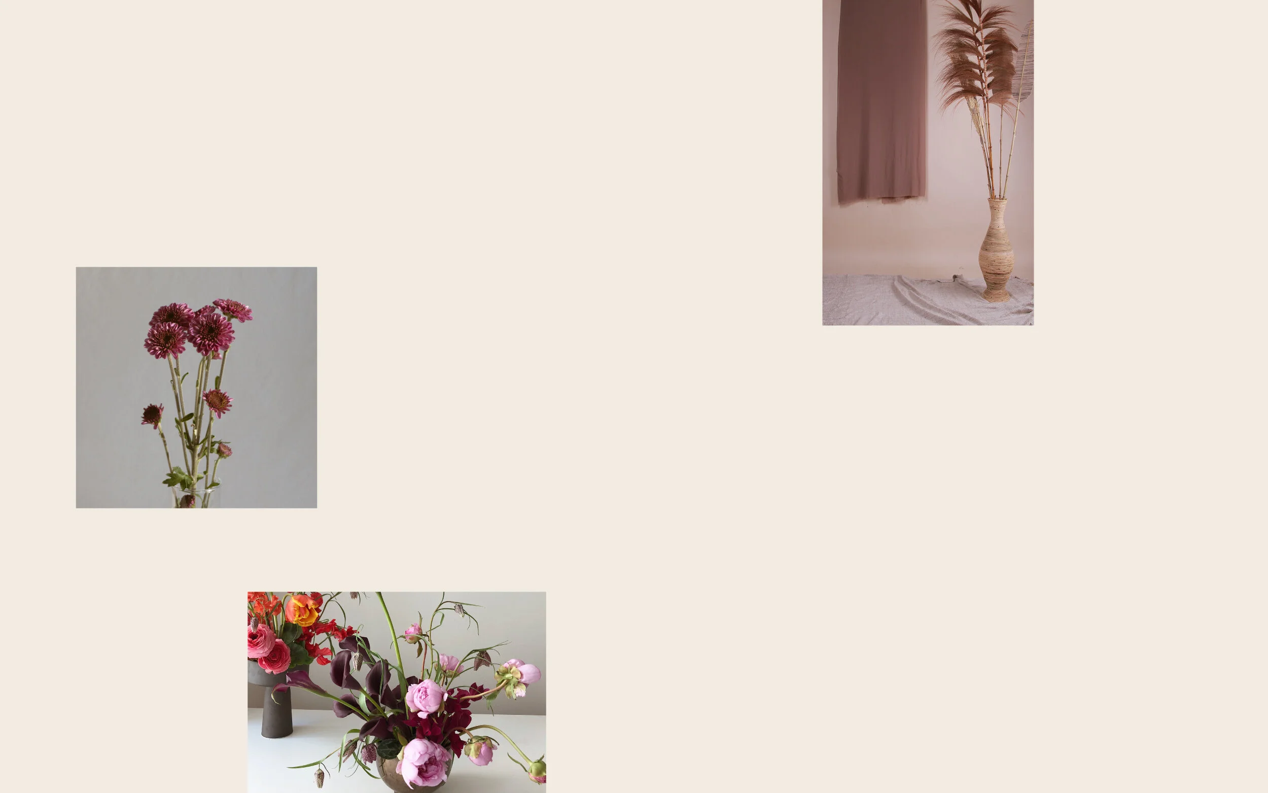 EVENTS /