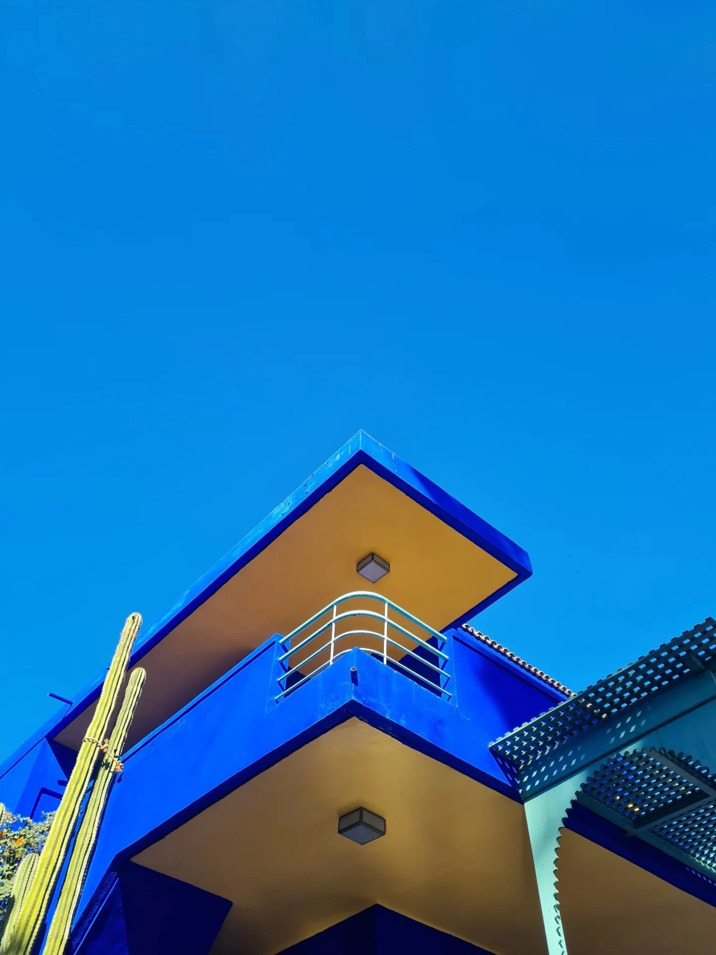 Cloud Dancer is it?

Here are some of the photos from across the year that I've taken, souly for the colour🍋