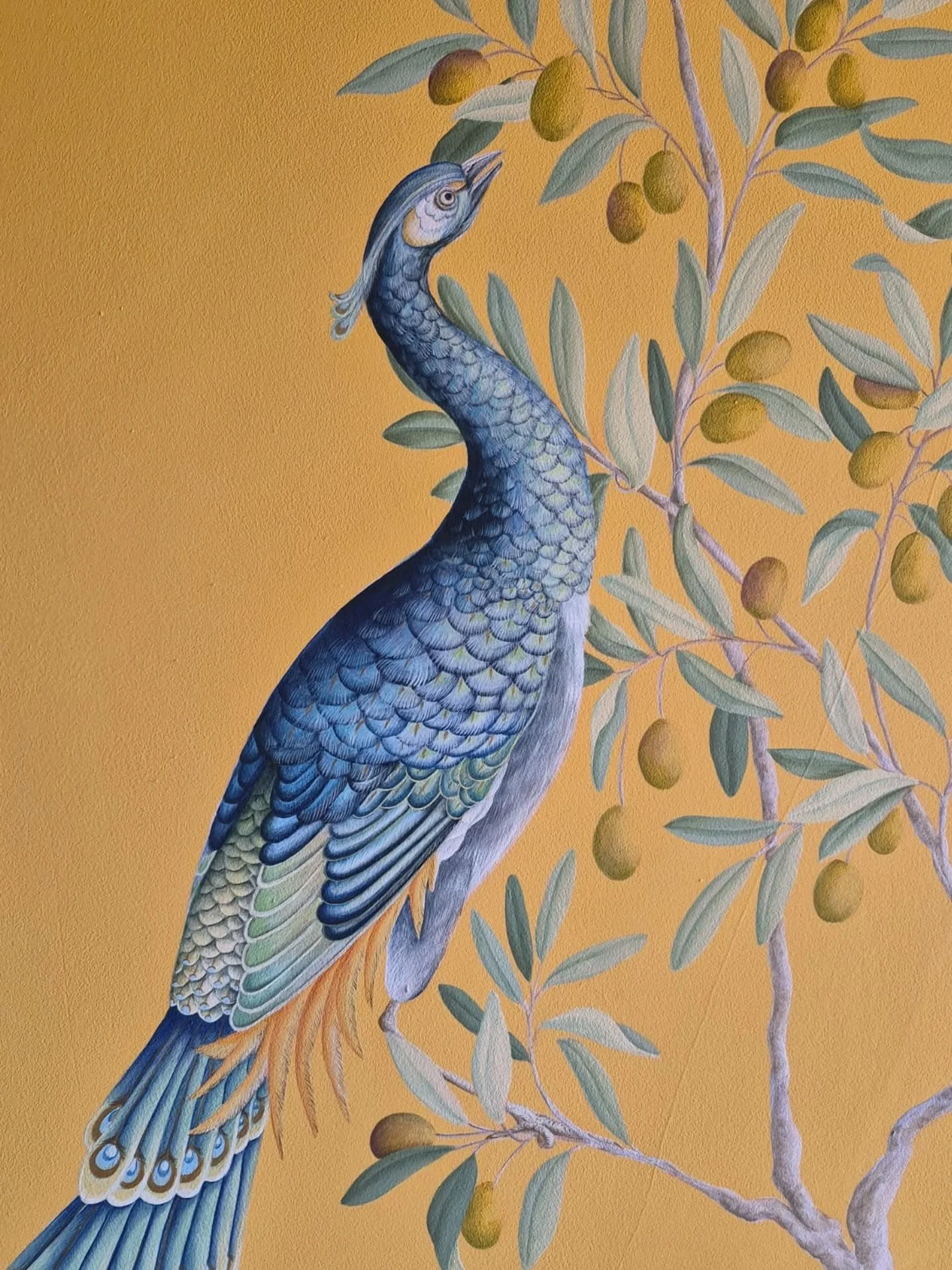 A peacock in an olive tree 🫒

Part of an ongoing hand painted mural.