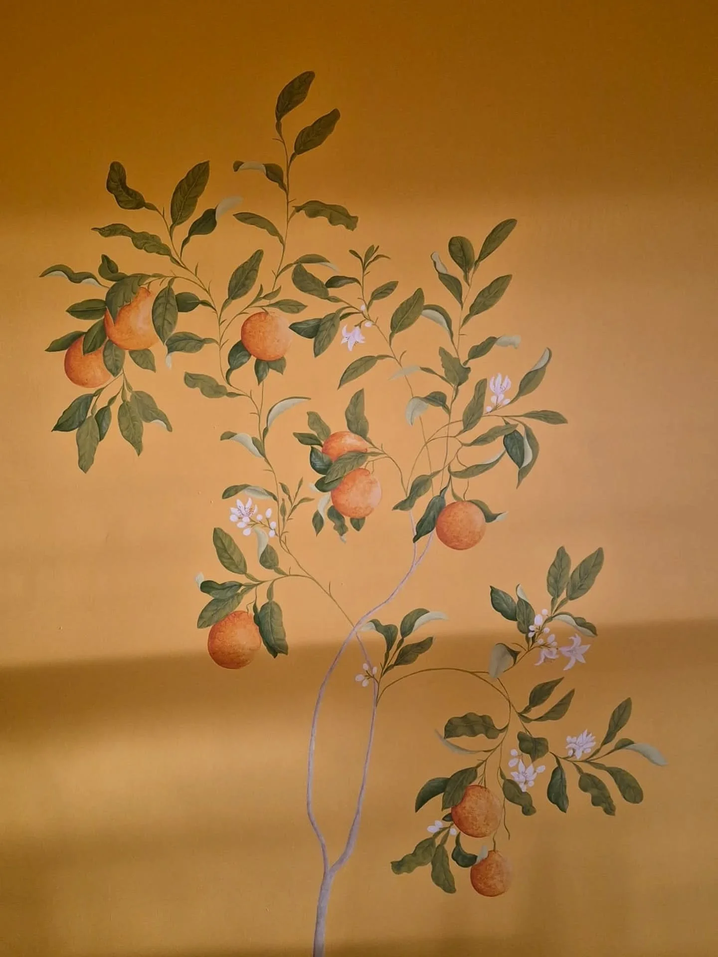 An orange tree at the top of the stairs 🍊