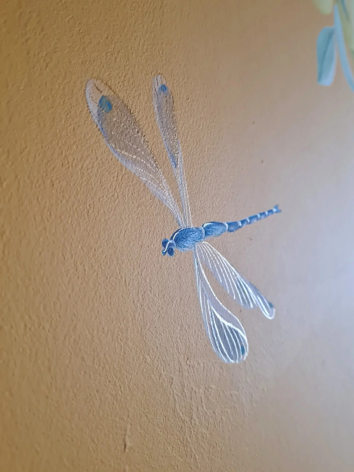 A dragonfly &amp; a tiny ladybird