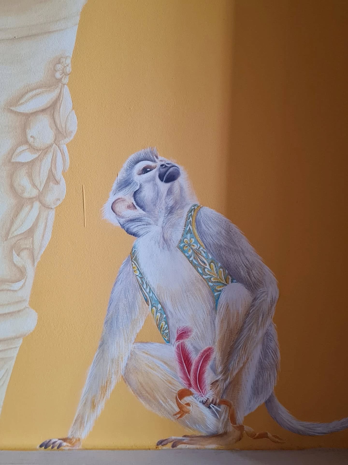 A collector of feathers