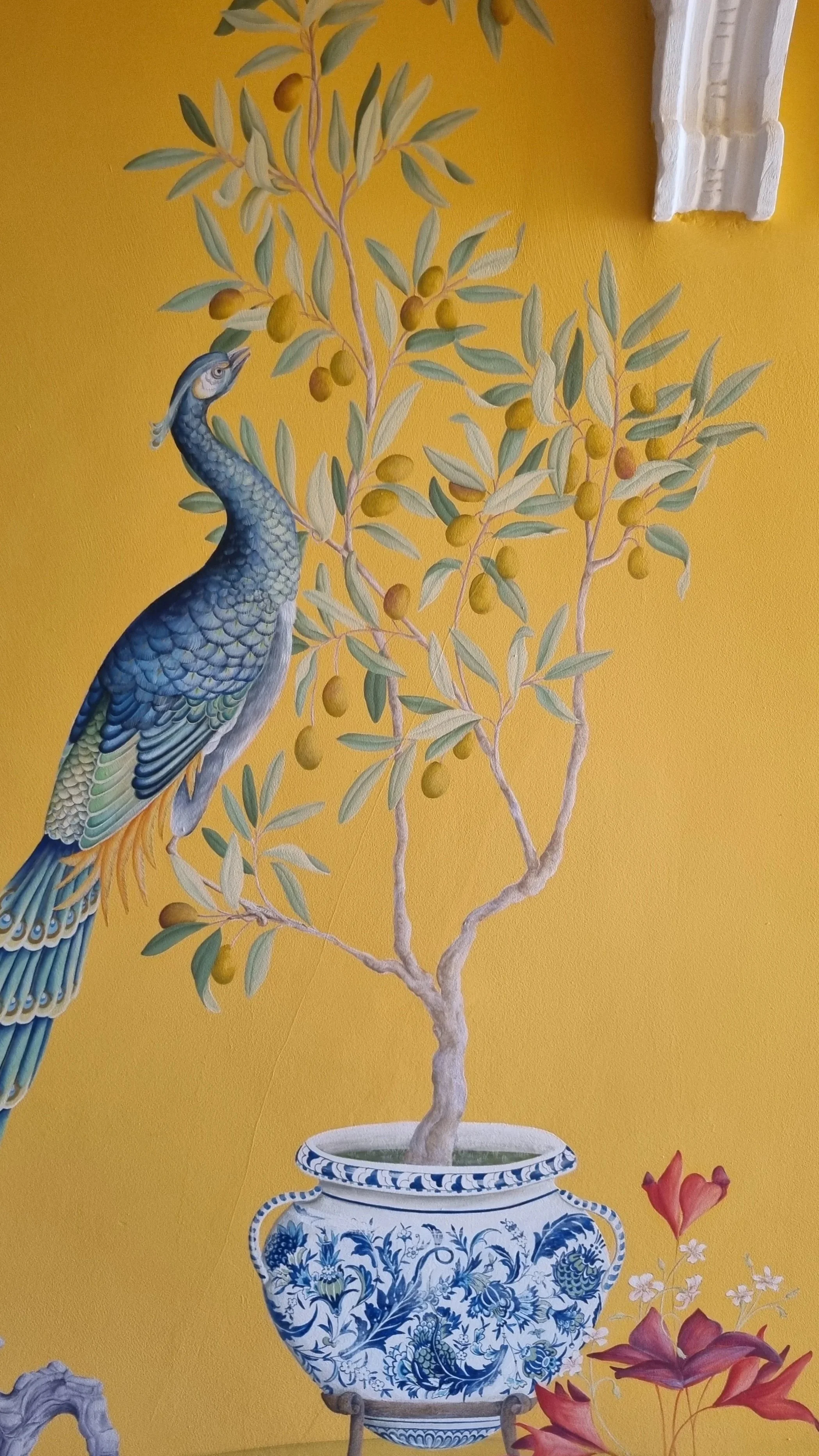 PJSP_CHPeacock.jpg