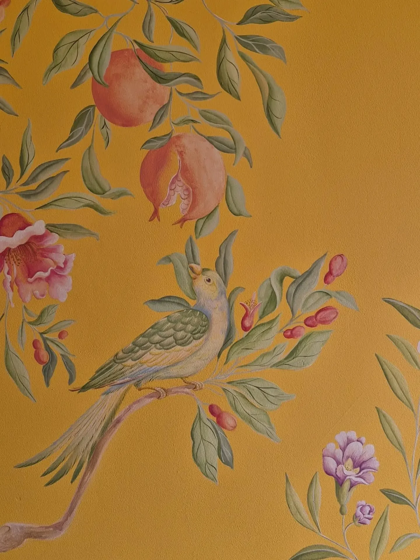 Parakeets and pomegranates in a late afternoon glow 🌞