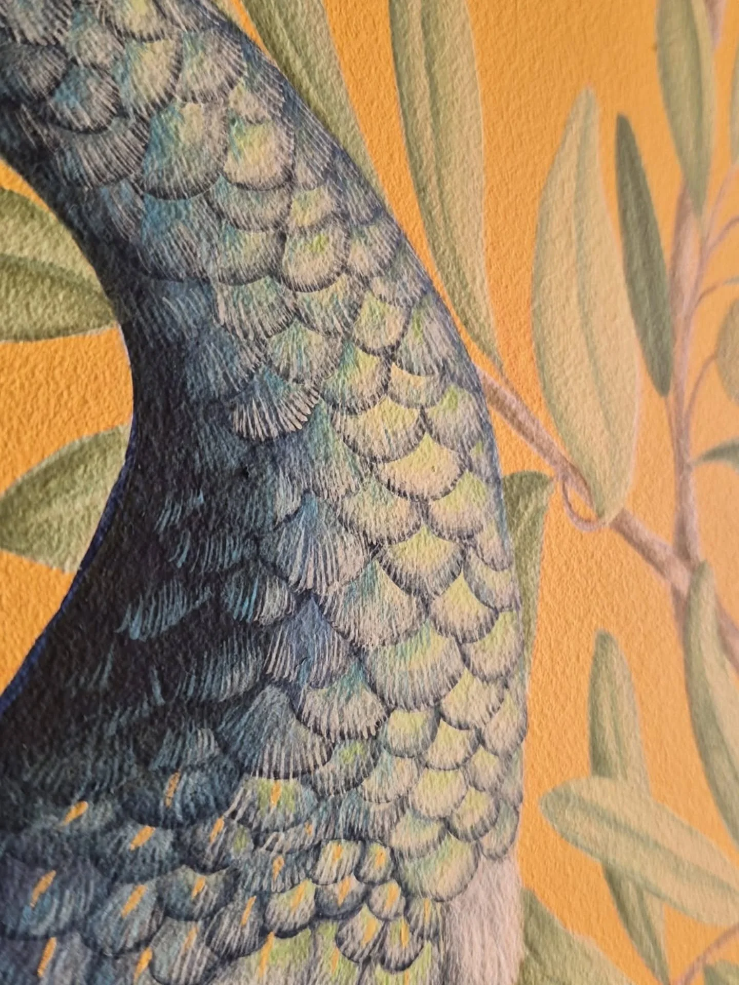 Some close ups of the peacock 🦚 

Hand painted mural