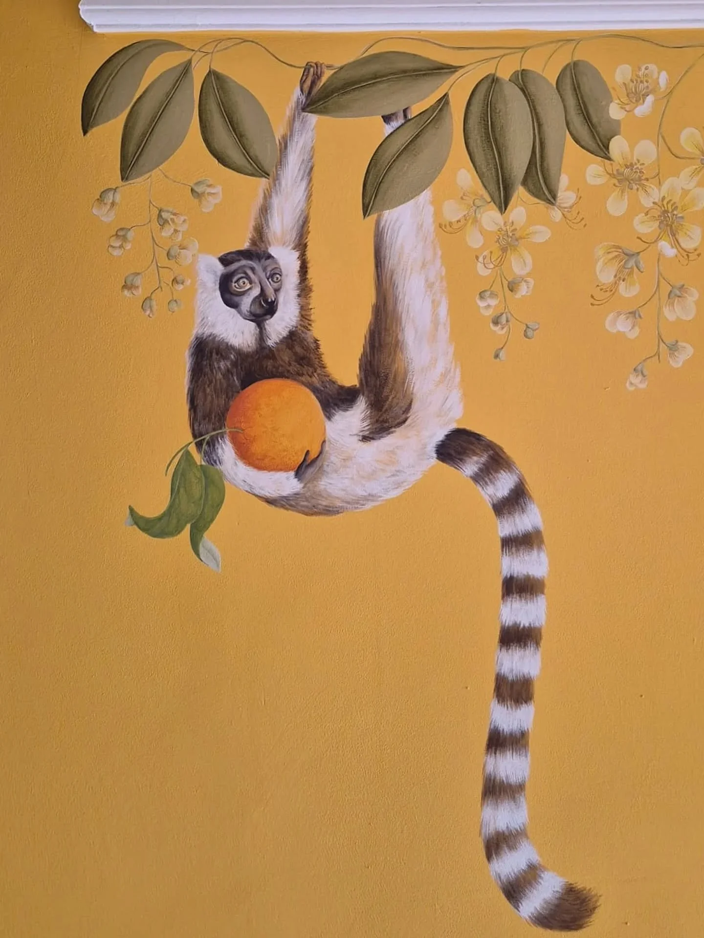 An orange thief!