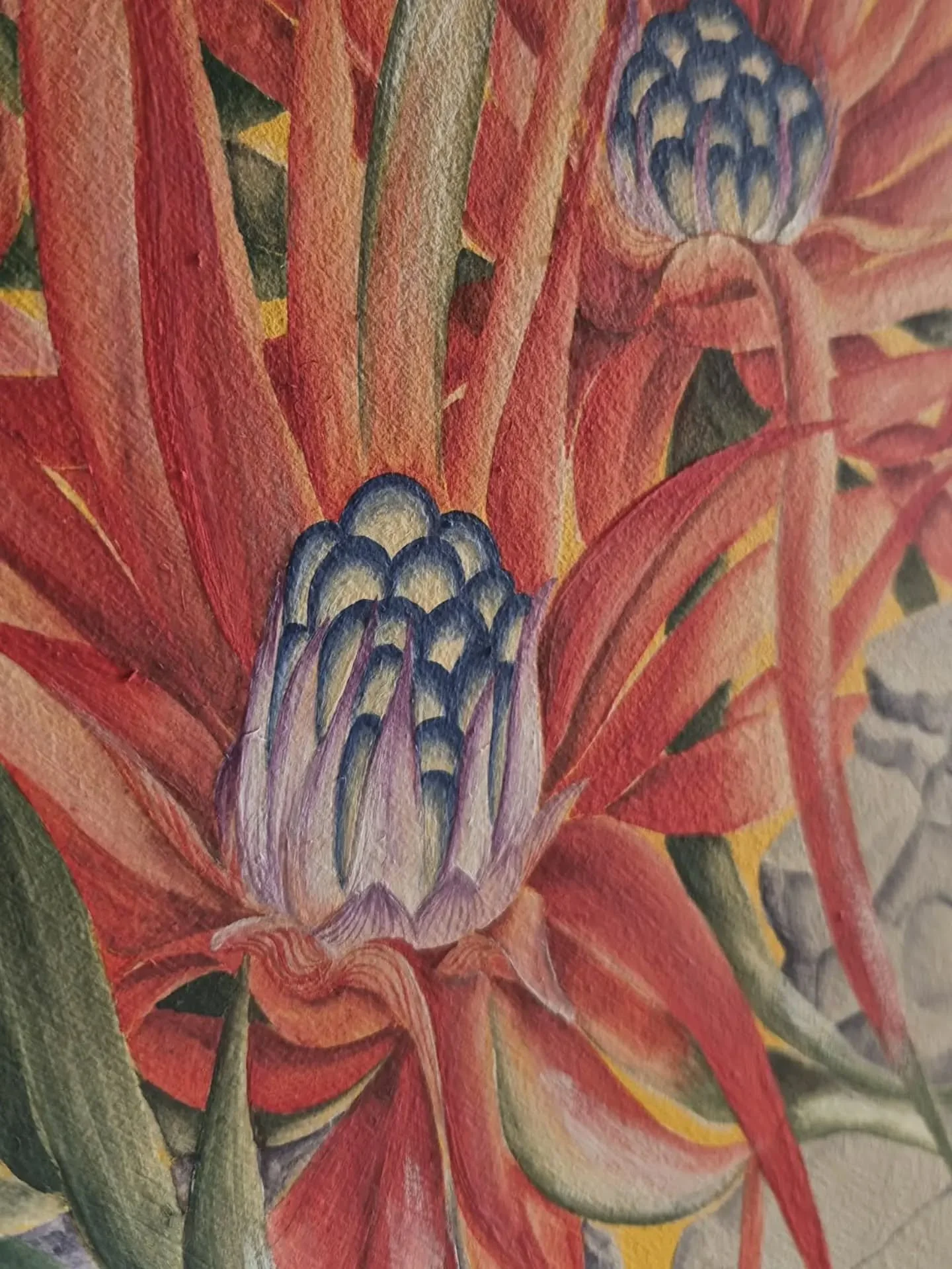 Fascicularia Bicolour
A nod to Falmouth in the hallway