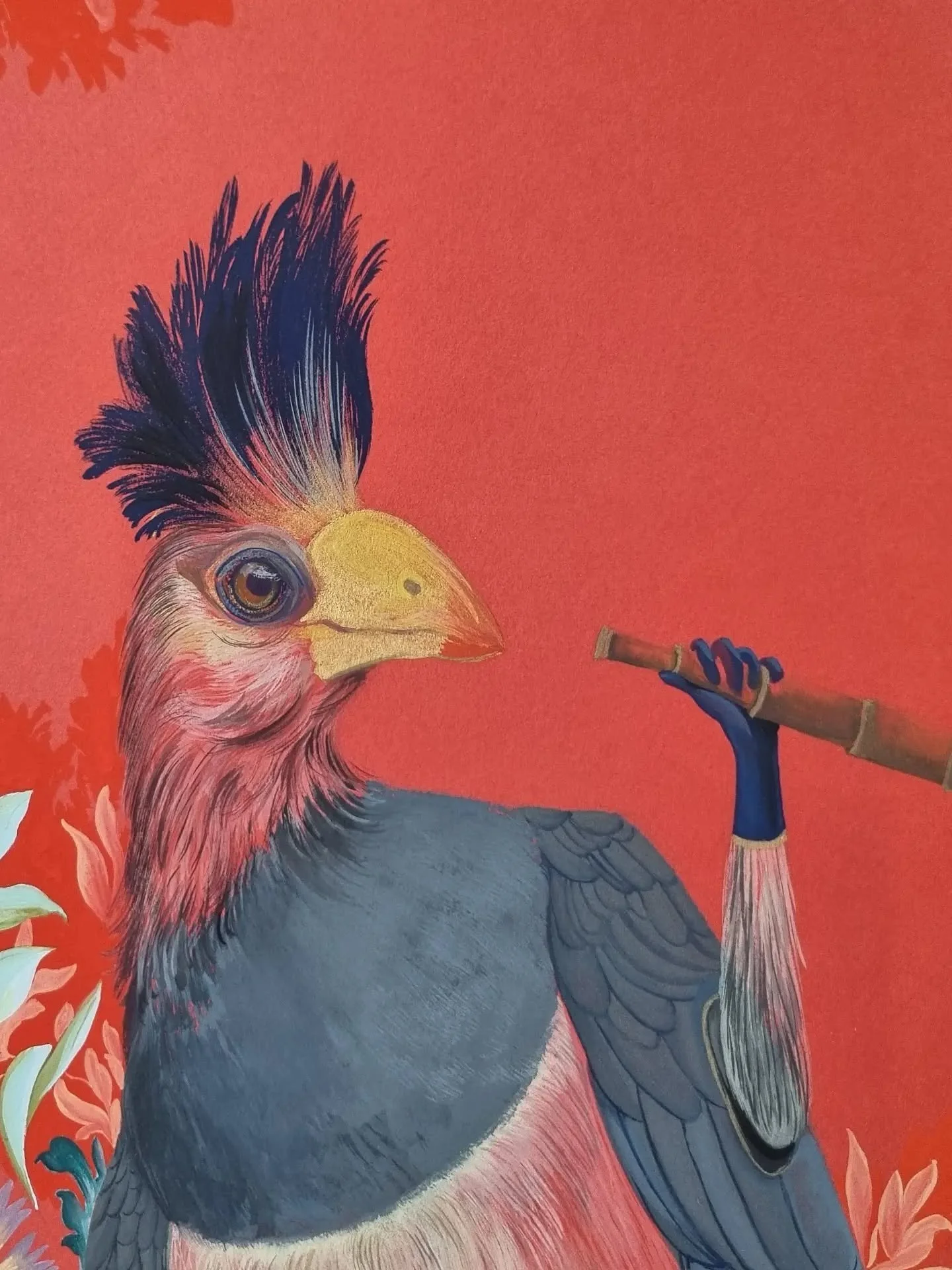 The Turaco. What has he spotted?