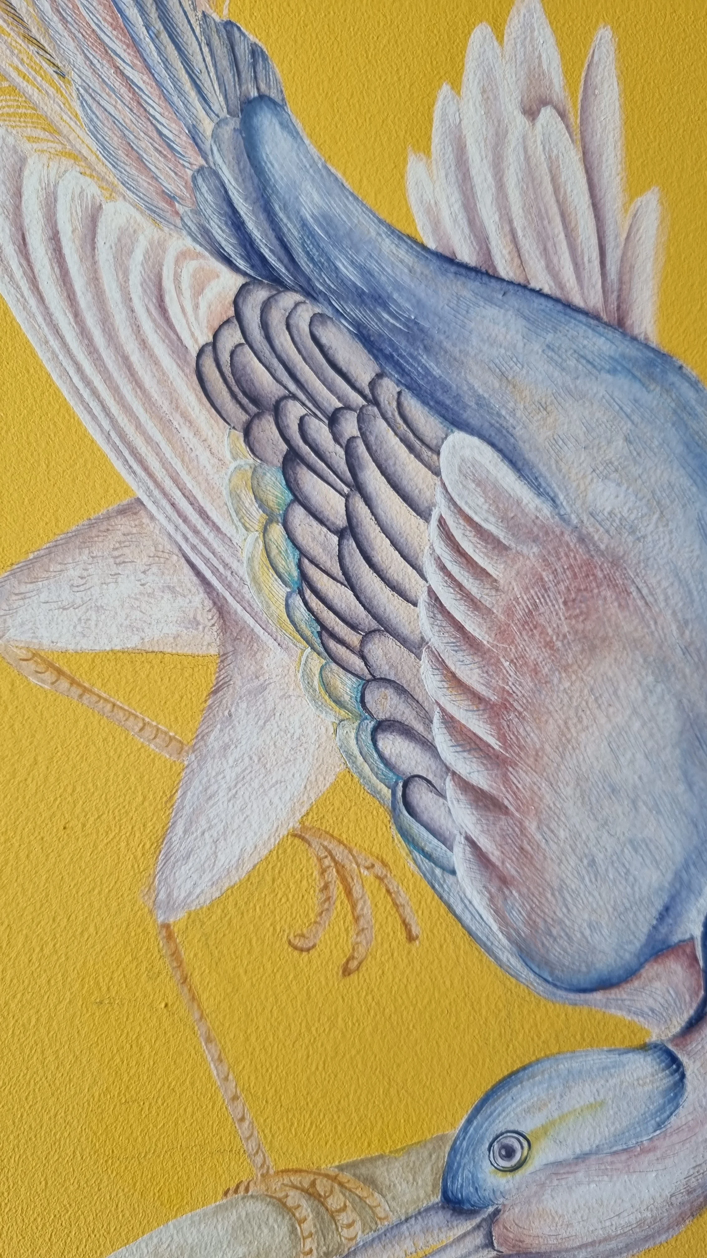 PJSP_CHFeathers.jpg