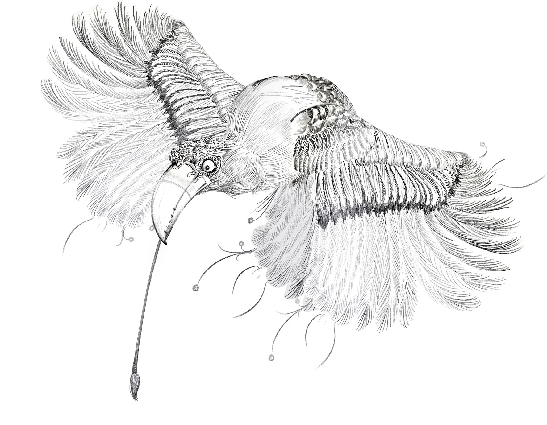 PJSPBirdBrush.jpg