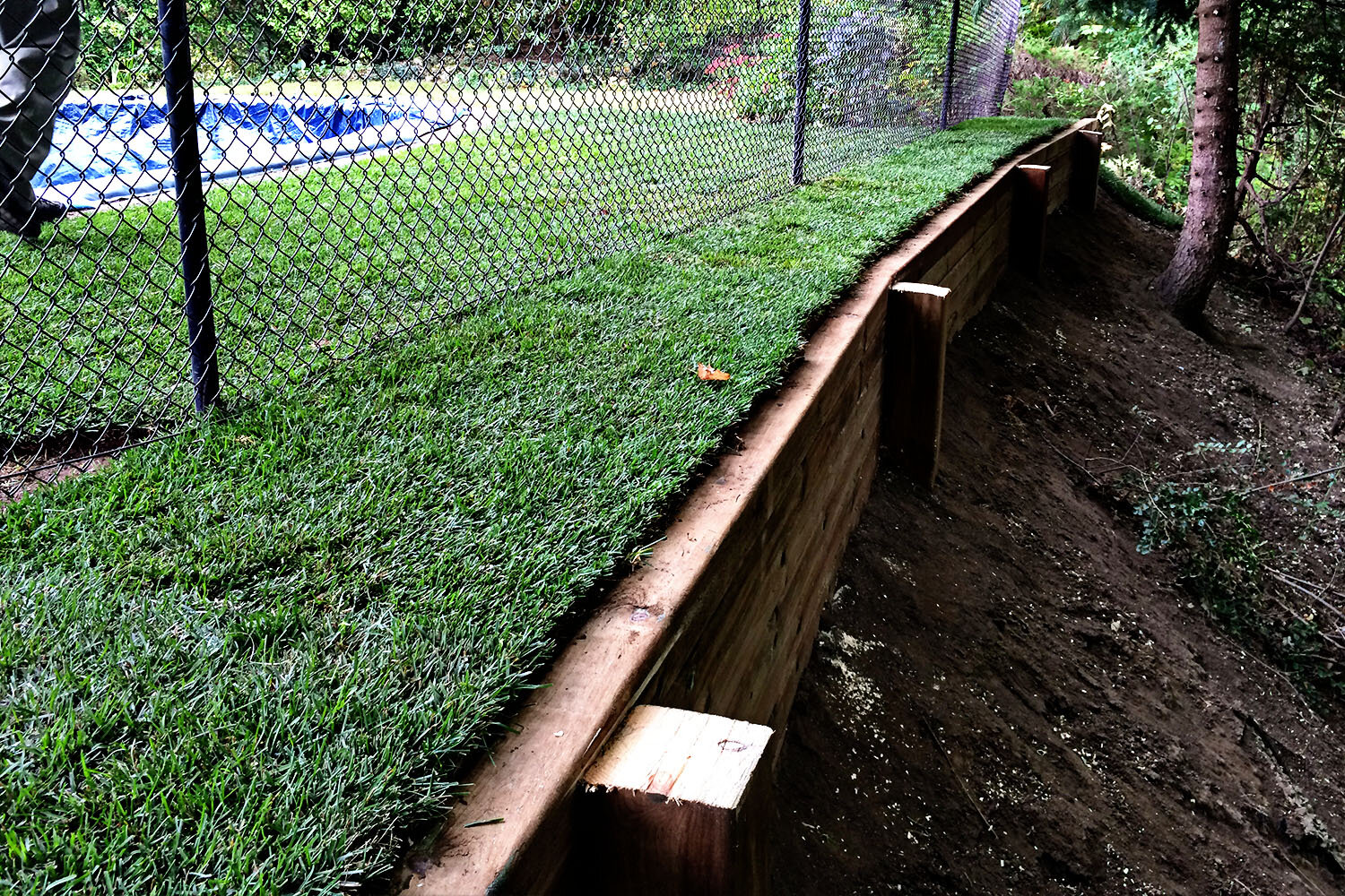 Steep slope with wooden retaining wall and chain-link fence, covered with artificial grass, next to a dirt area and pool.