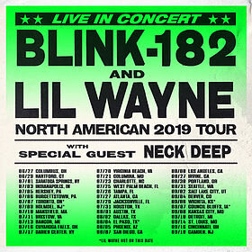 blink 182 blame it on the youth.jpeg