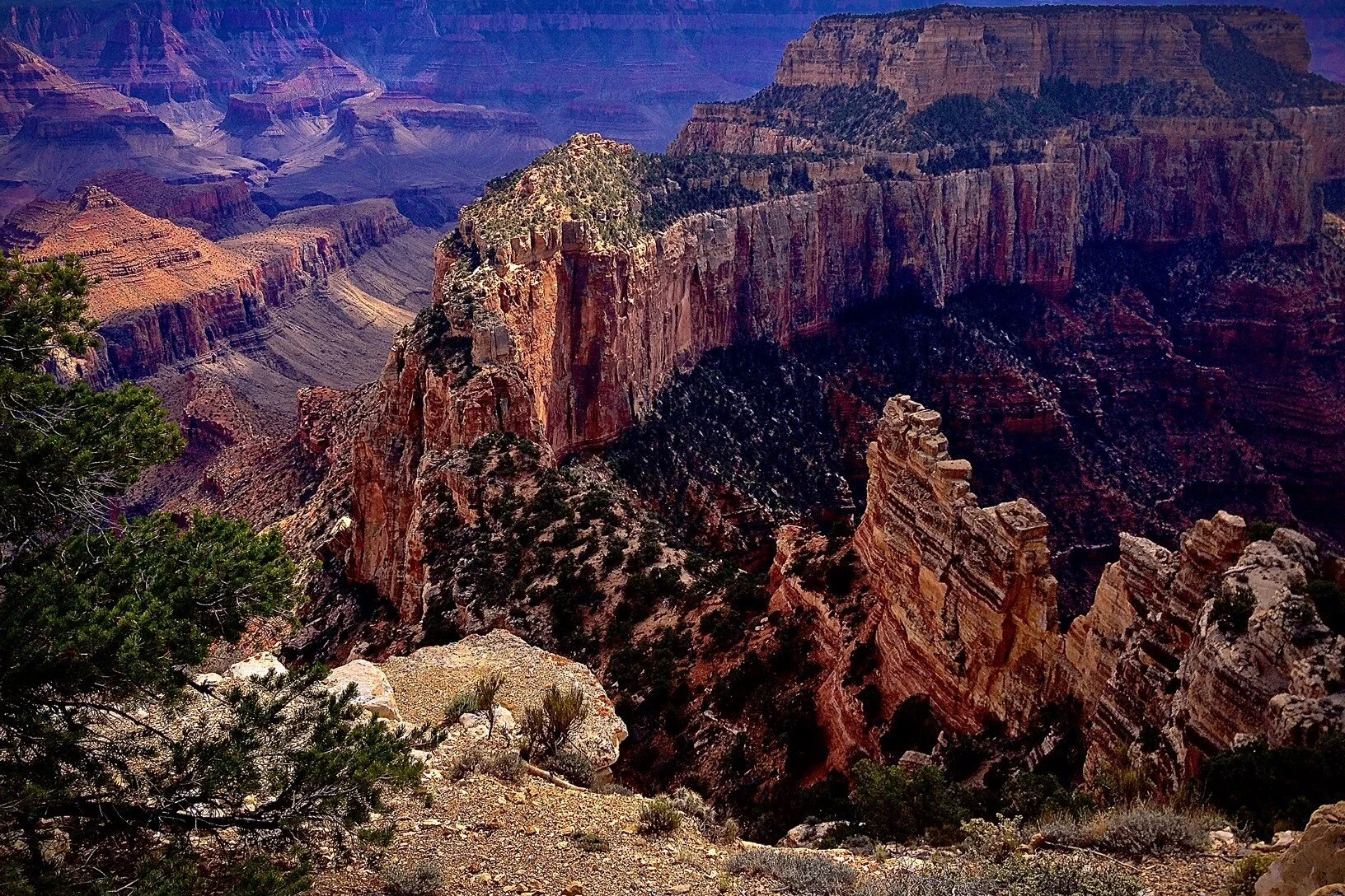 Grand Canyon - North Rim.jpg