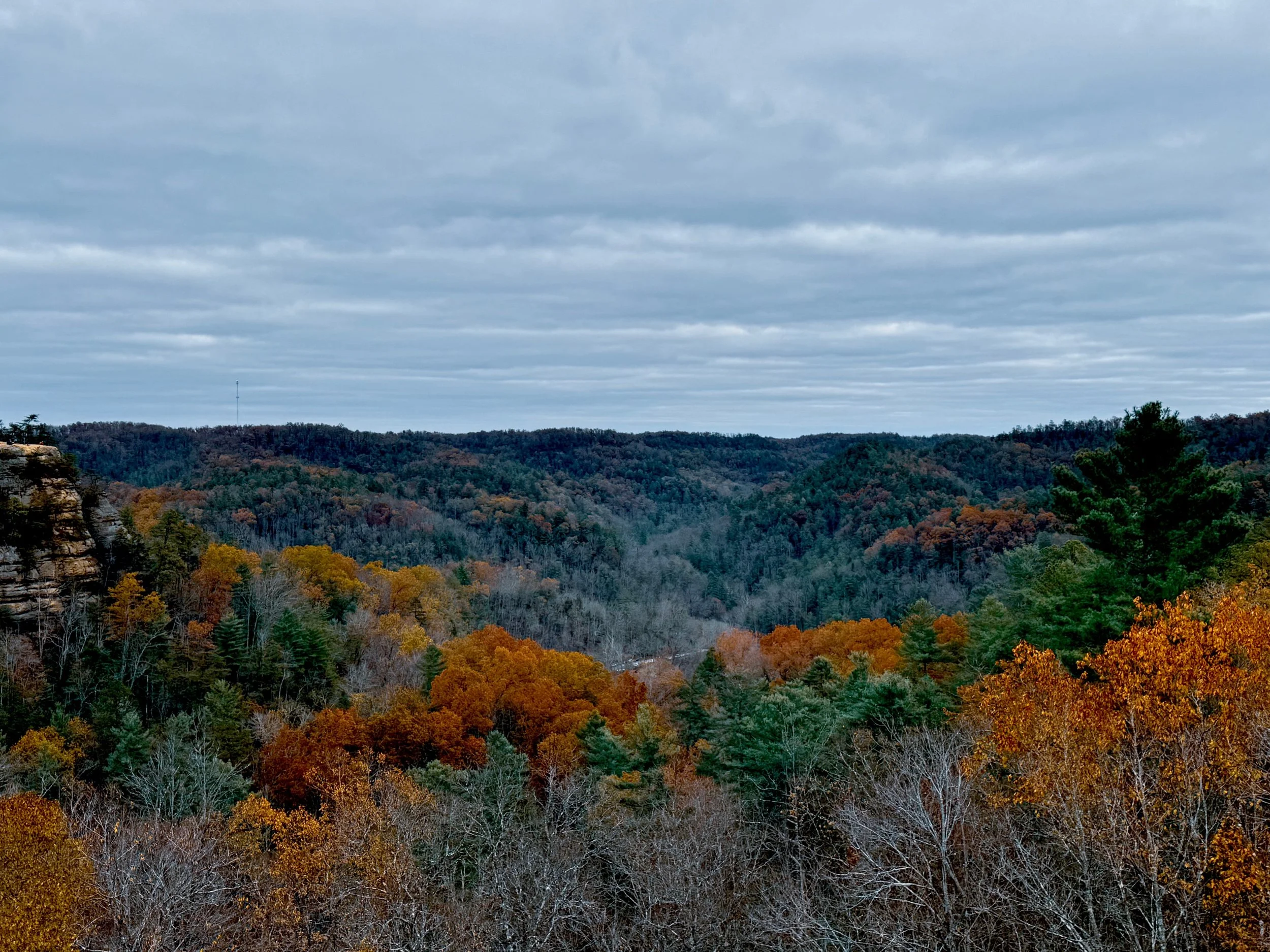 Red River Gorge EarthlyExcursions (1).jpg