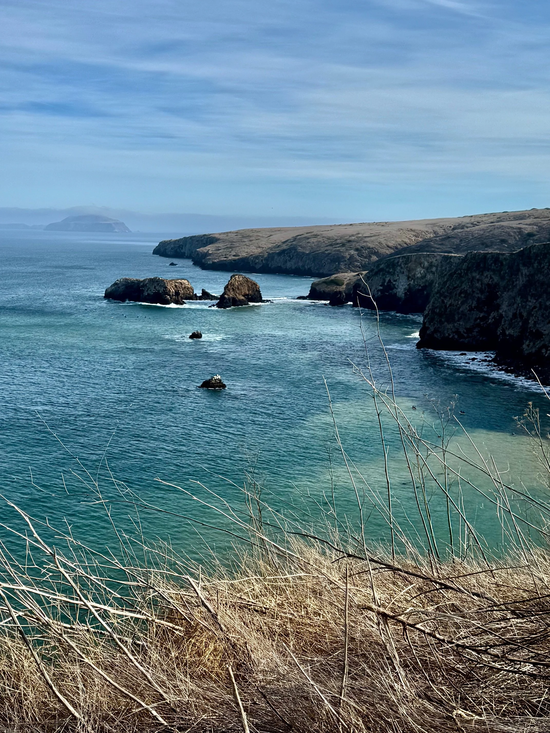 EarthlyExcursions Channel Islands National Park (2).jpg