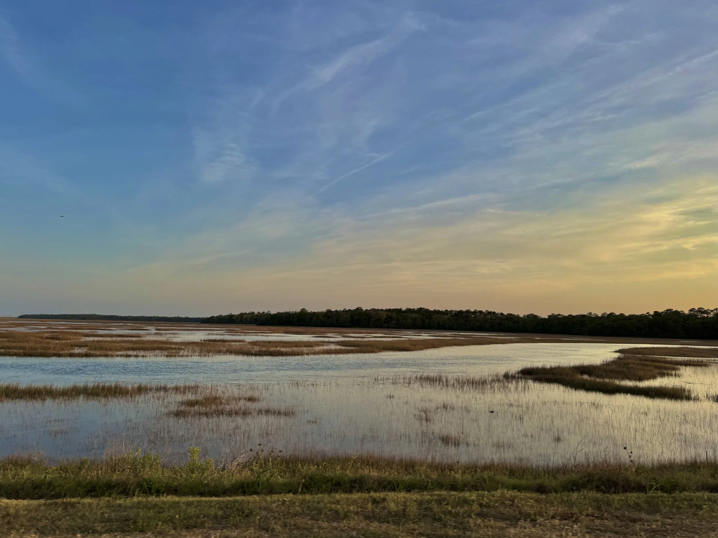 Jacksonville EarthlyExcursions Visit Jax.jpg
