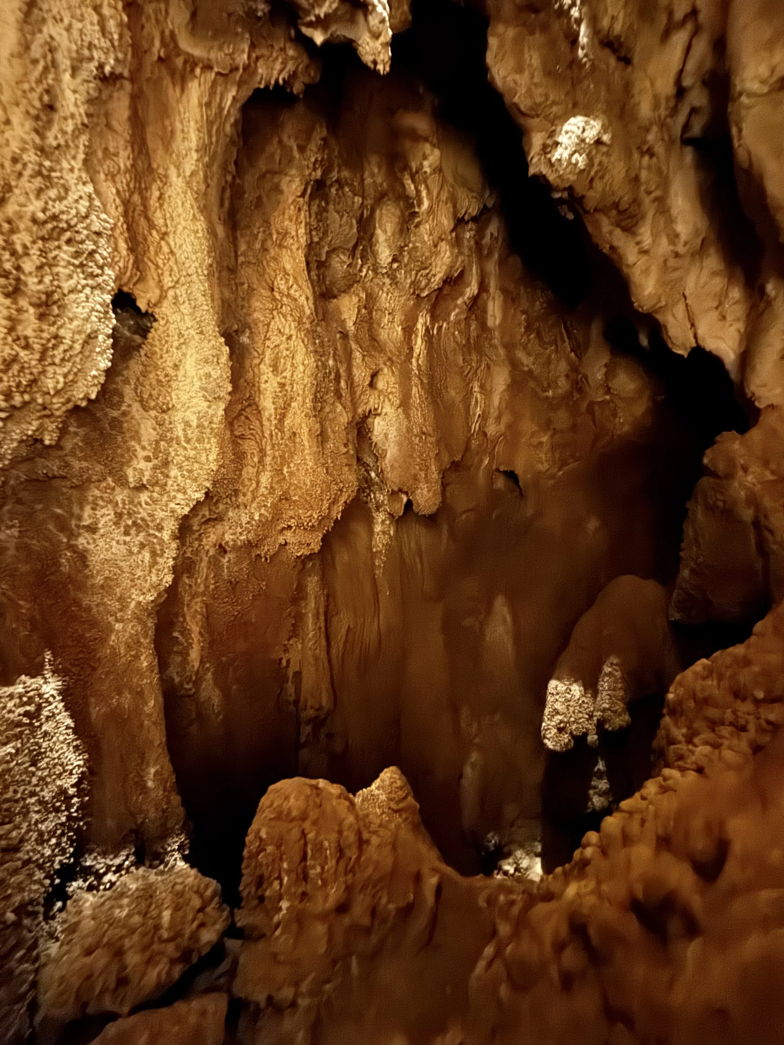 EarthlyExcursions Glenwood Caverns Adv Park (9).jpg