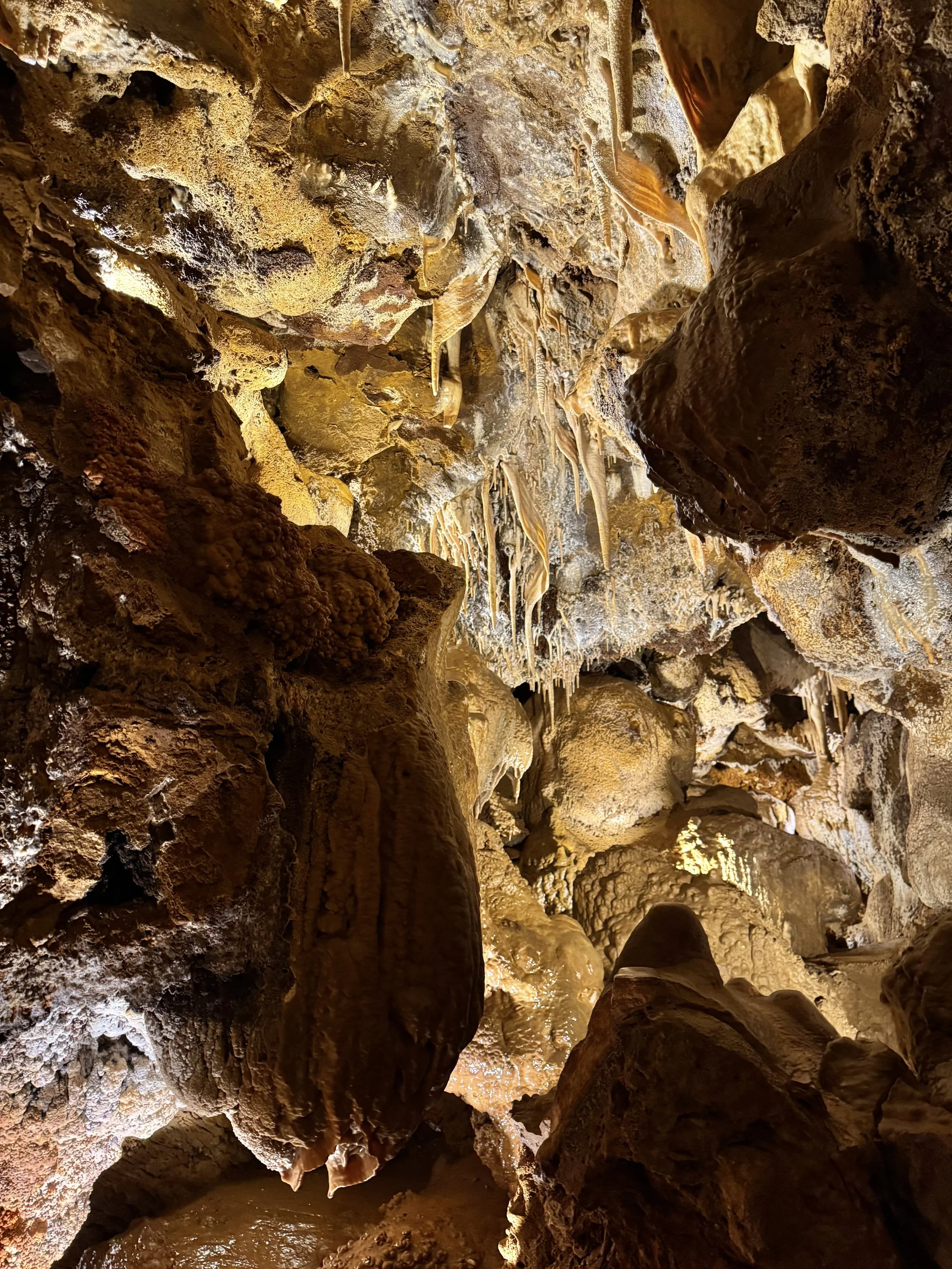 EarthlyExcursions Glenwood Caverns Adv Park (11).jpg