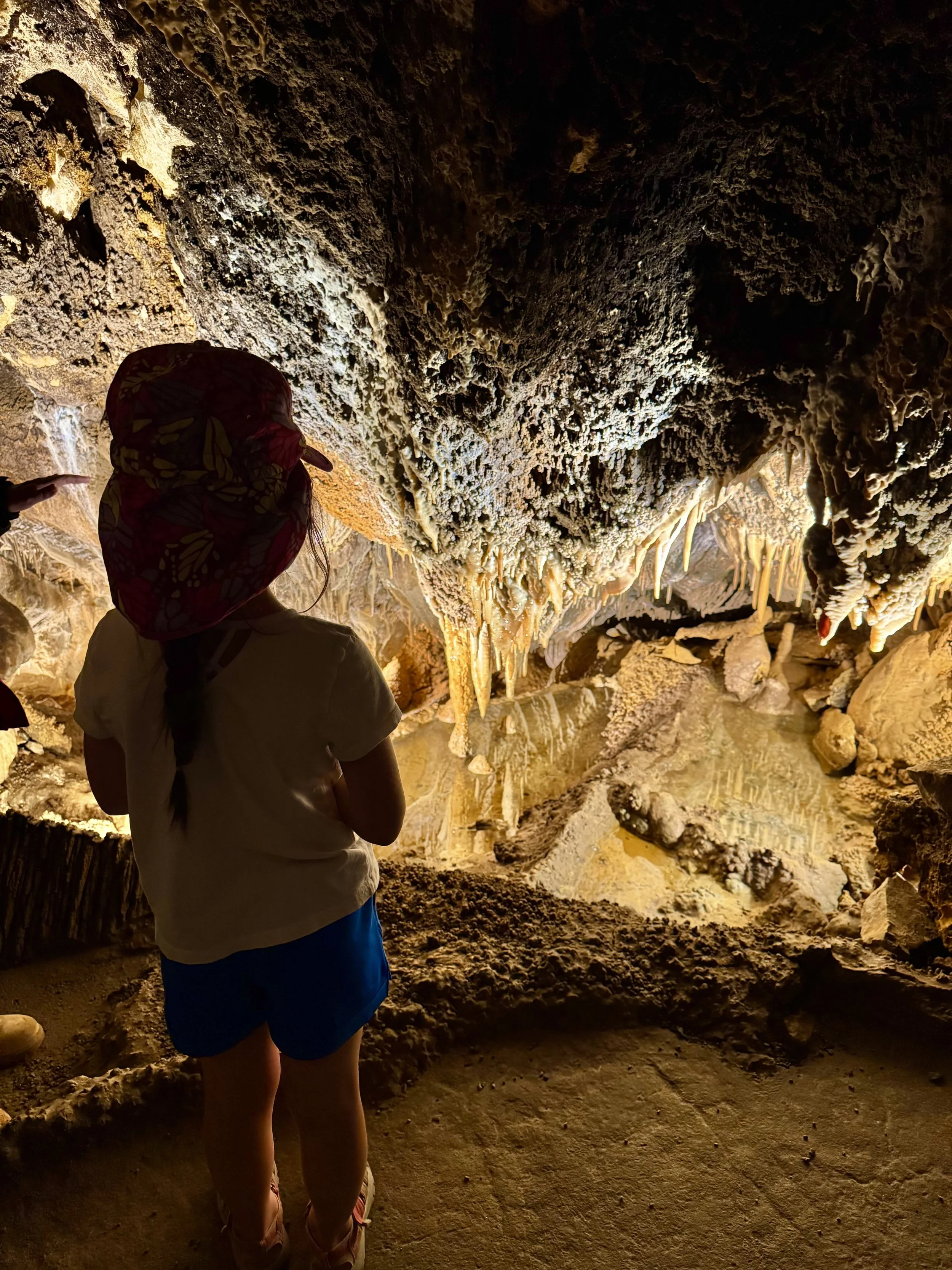 EarthlyExcursions Glenwood Caverns Adv Park (17).jpg